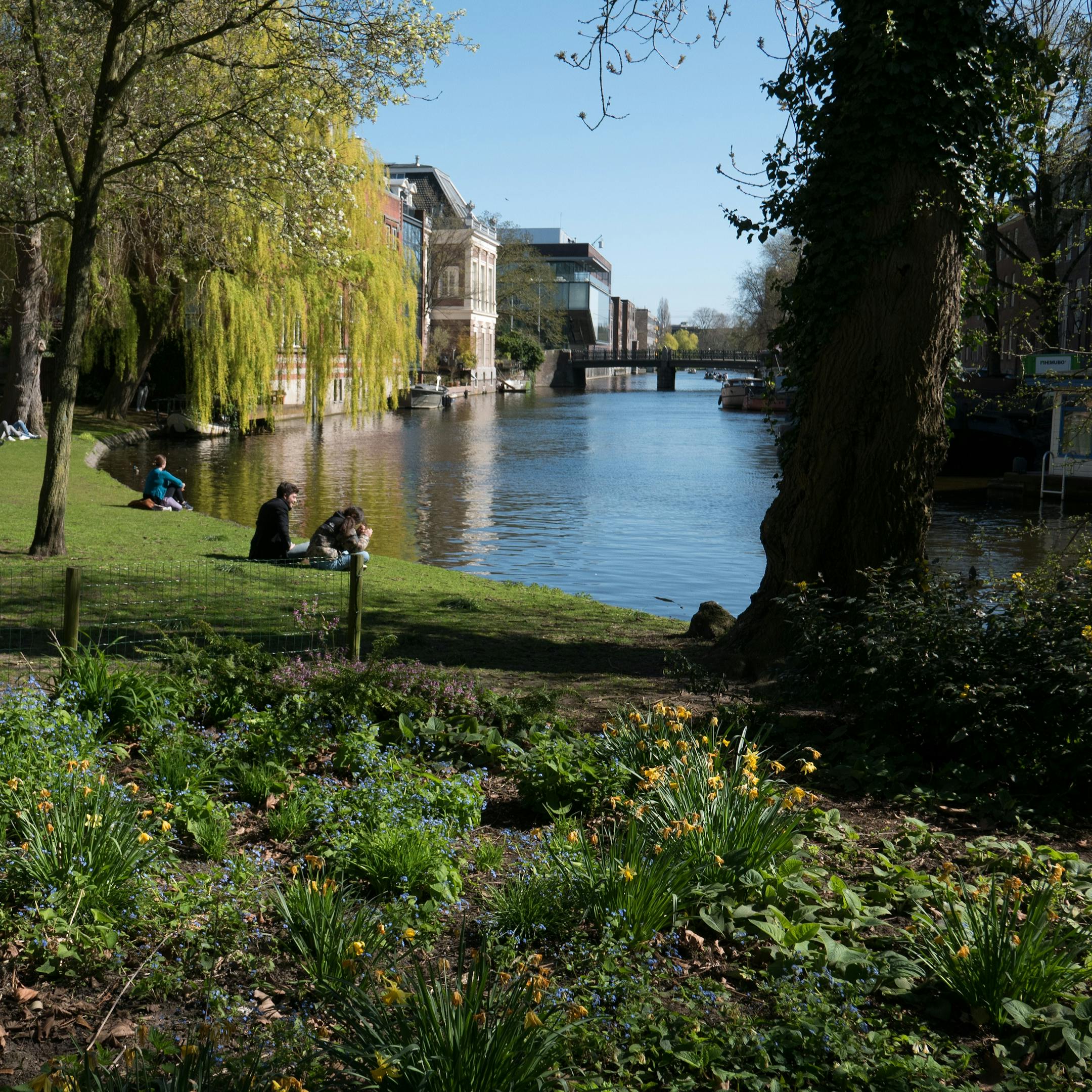 Personnes assises au bord d'un canal boisé à Amsterdam, Pays-Bas