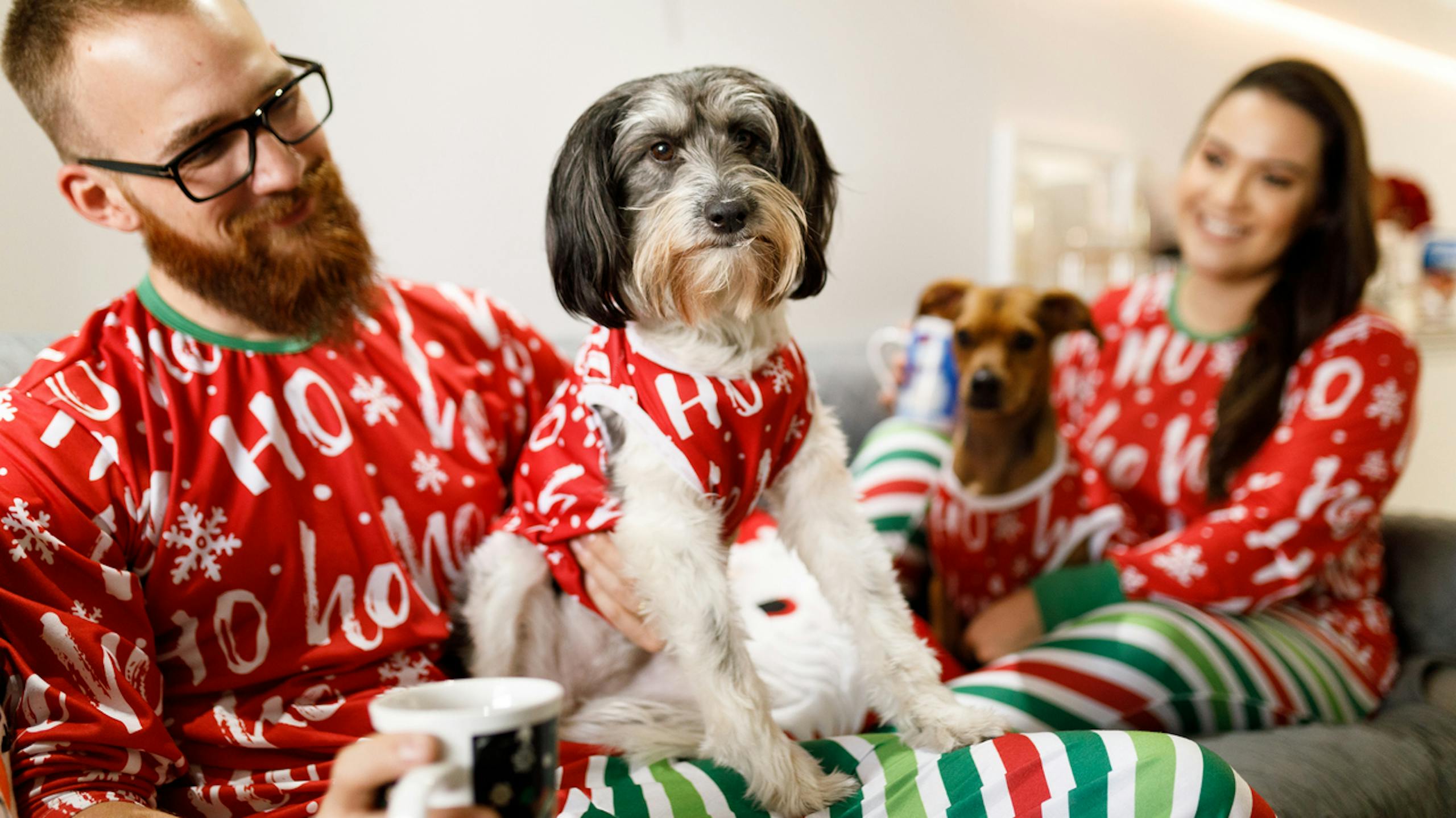 Famille avec leur deux chiens tous en pulls de Noël