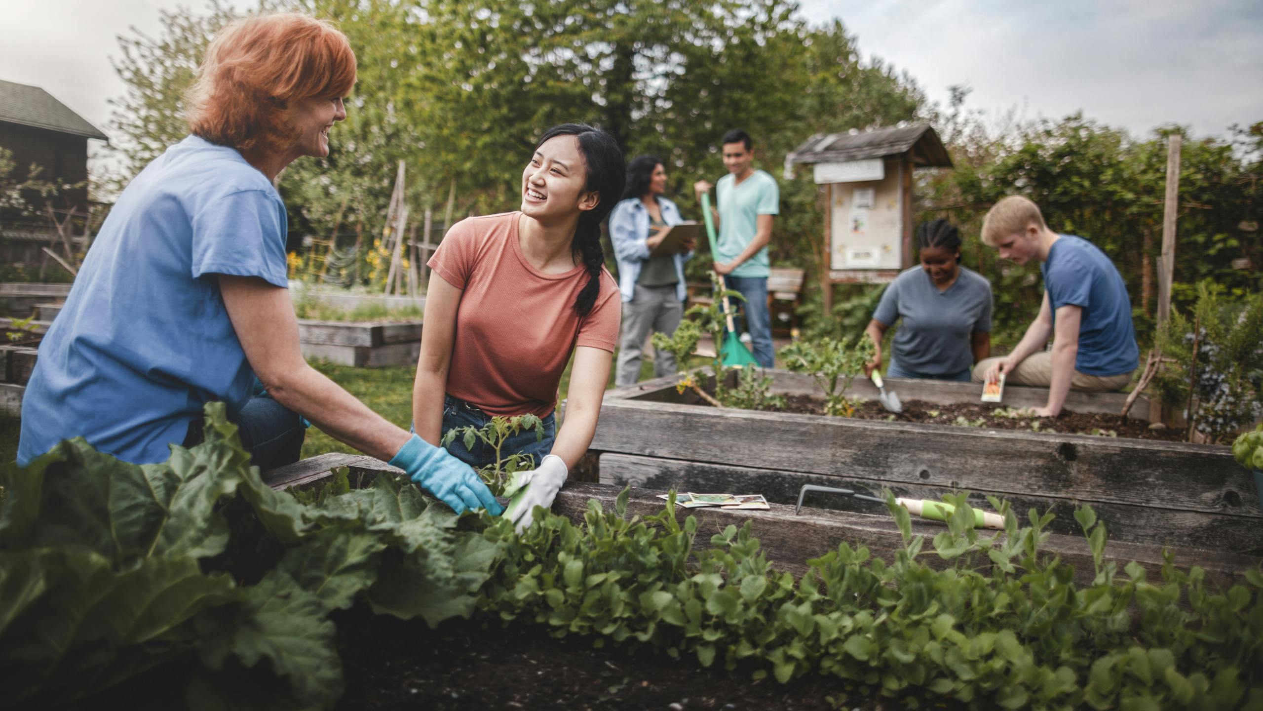 Groupe de volontaires se rassemblant pour jardiner dans un jardin communautaire