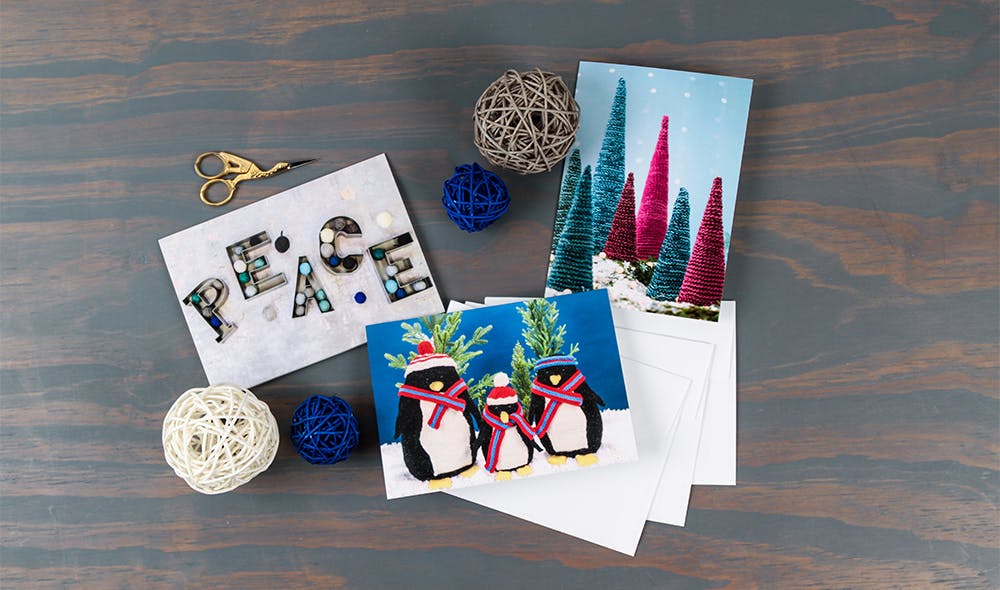 WEBS Holiday Card Pack Promo