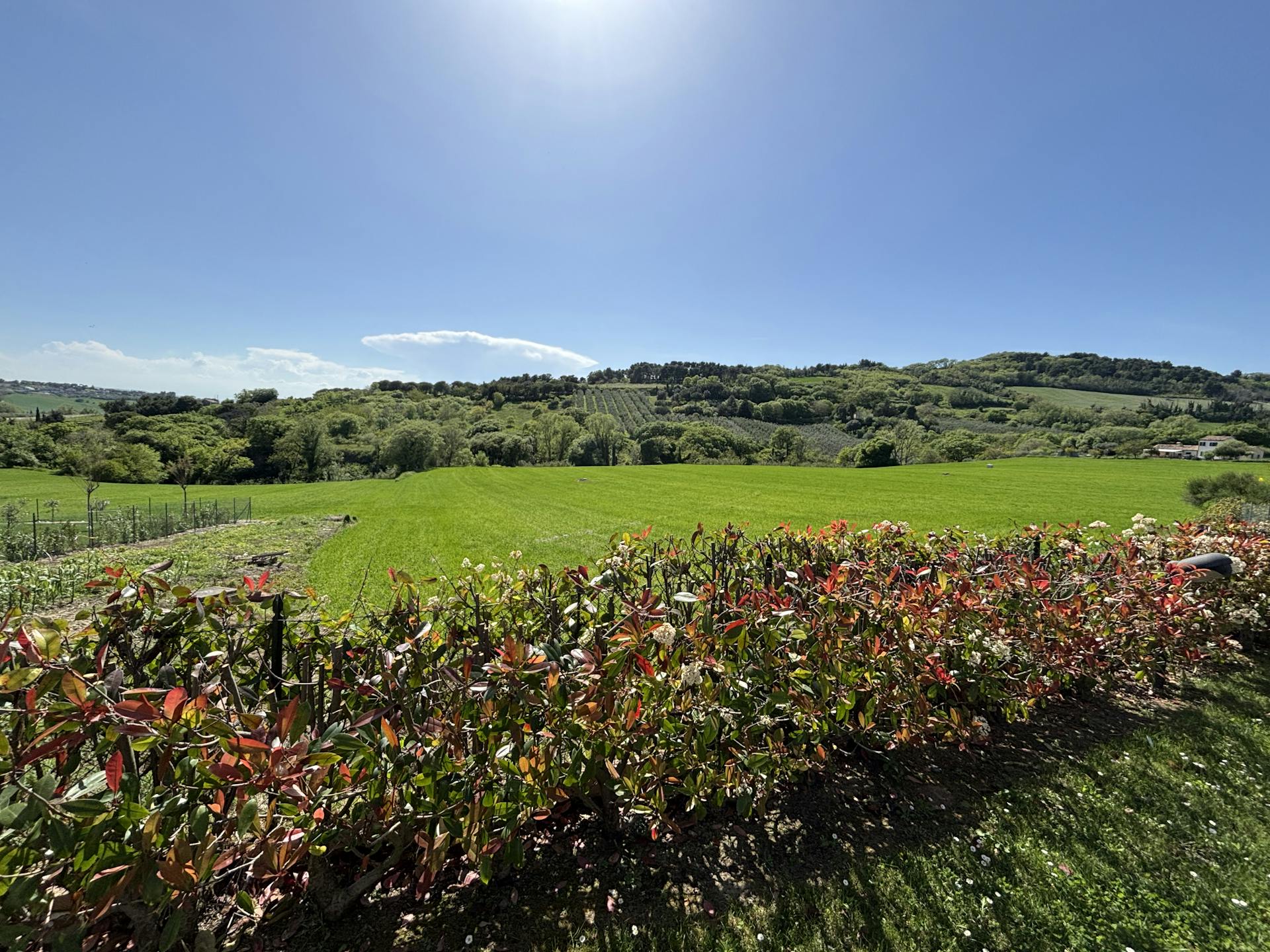 L'incantevole vista sul Parco del Conero