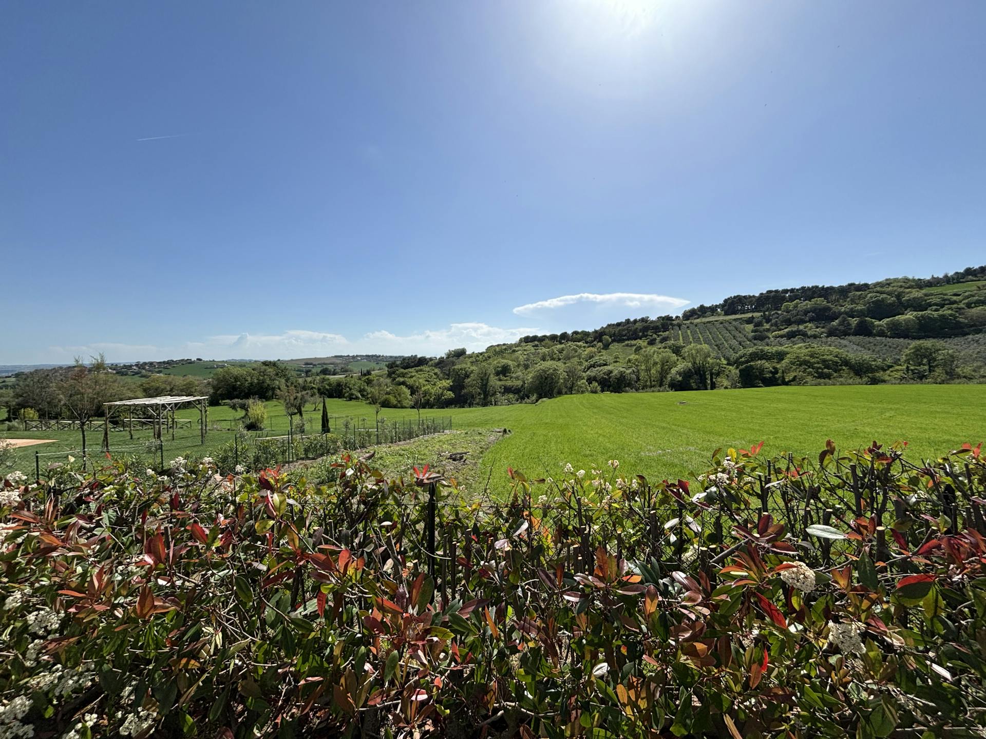 L'incantevole vista dal giardino sul Parco del Conero