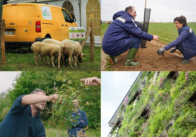 La Poste s'engage dans la préservation de la biodiversité, troisième pilier de sa politique environnementale.