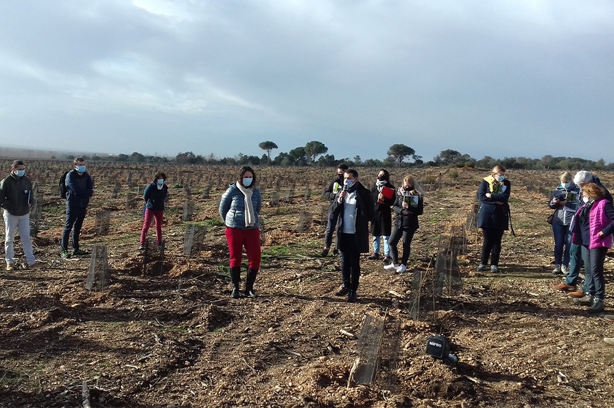 Ces projets de reforestation ont été labellisés Bas-Carbone en décembre  2020 devraient permettre  de stocker 344 tonnes de CO2 chacun en 30 ans, soit 688 tonnes au  total