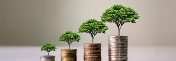 photo de pièces de monnaie avec des arbres qui poussent dessus