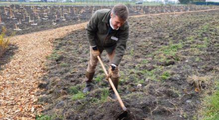Des actions en territoire : une micro-forêt en Auvergne