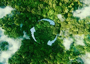 photo d'une foret vu de haut
