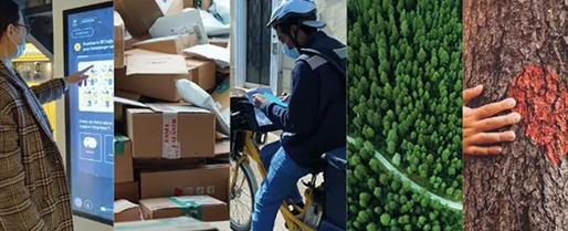 mosaïque de visuels la poste : un écran digital, des emballages colis un facteur sur son vélo une forêt et un arbre