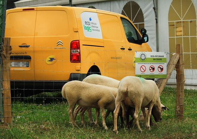 photo d'un véhicule La Poste