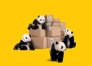 La Poste s'engage avec WWF France vers la livraison zero carbone