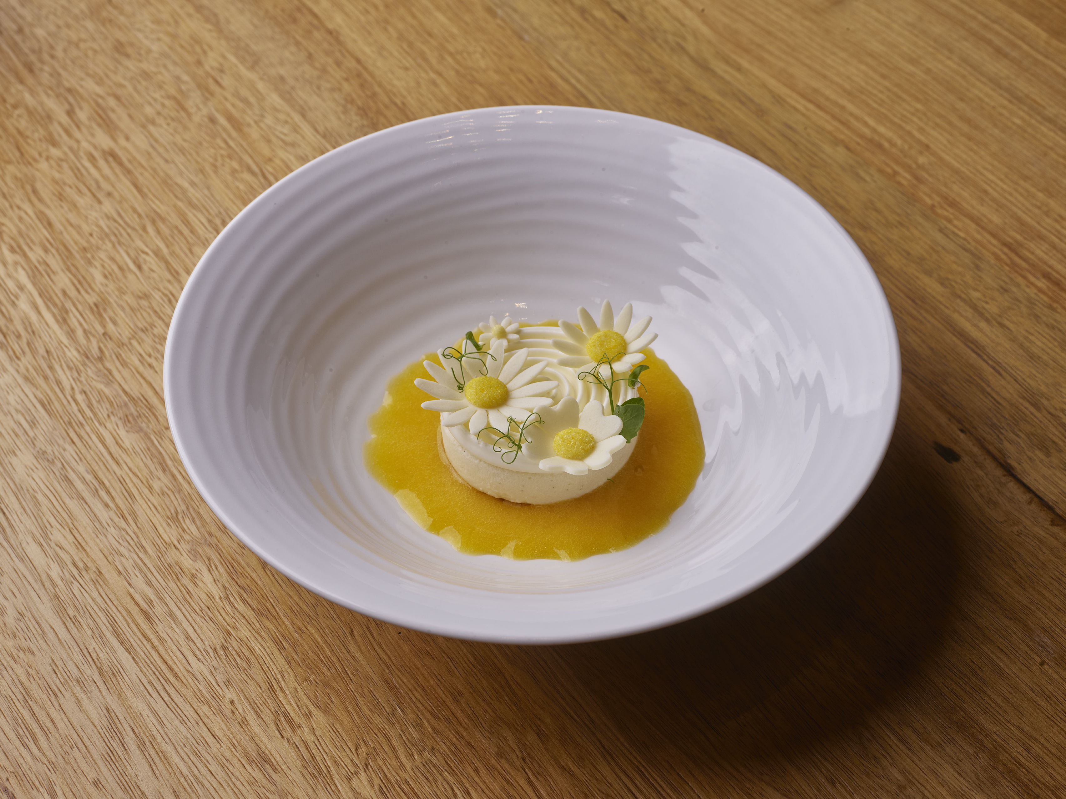 Mango CHEESECAKE 
