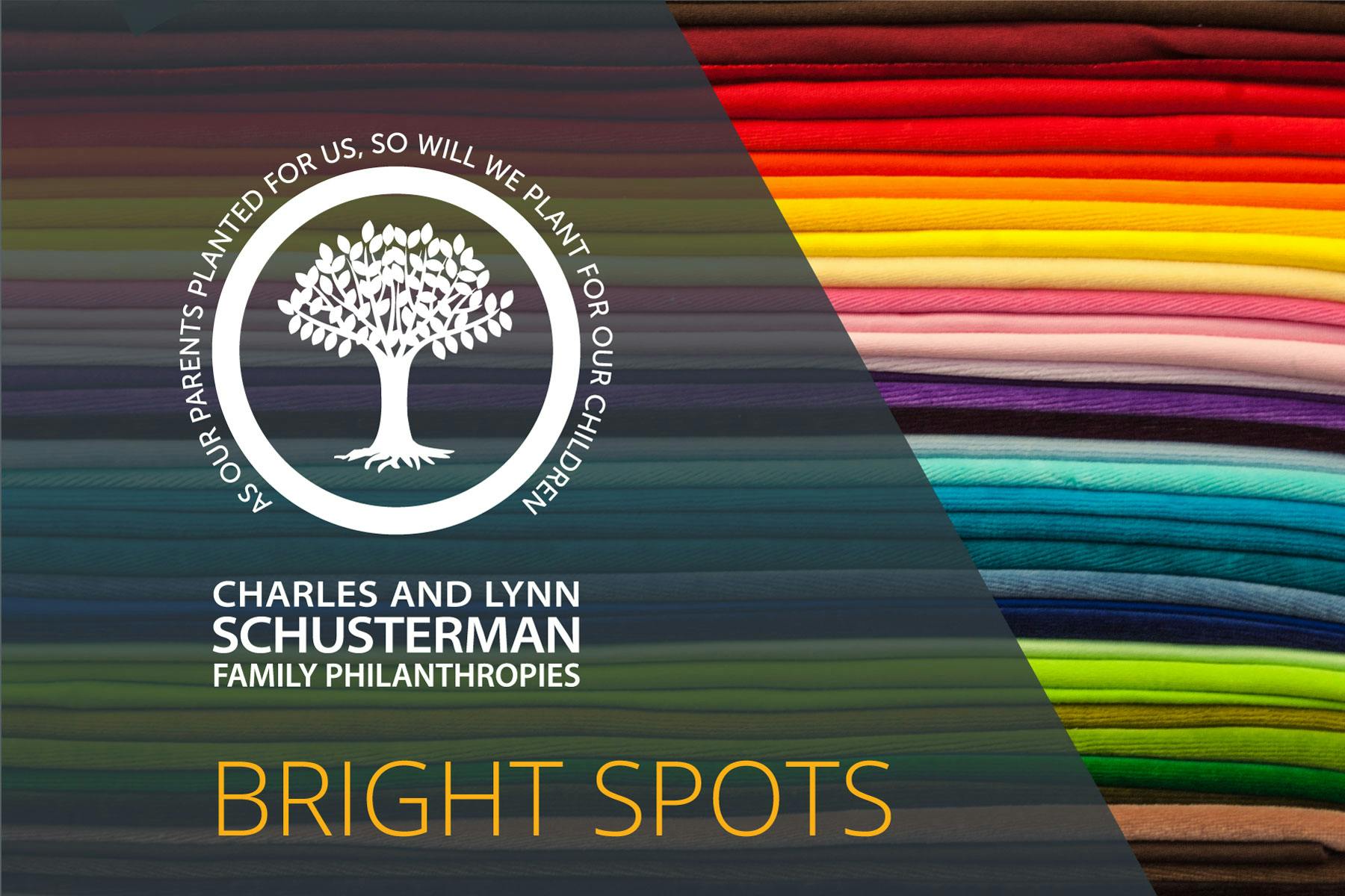 Bright Spots: Charles and Lynn Schusterman Family Philanthropies