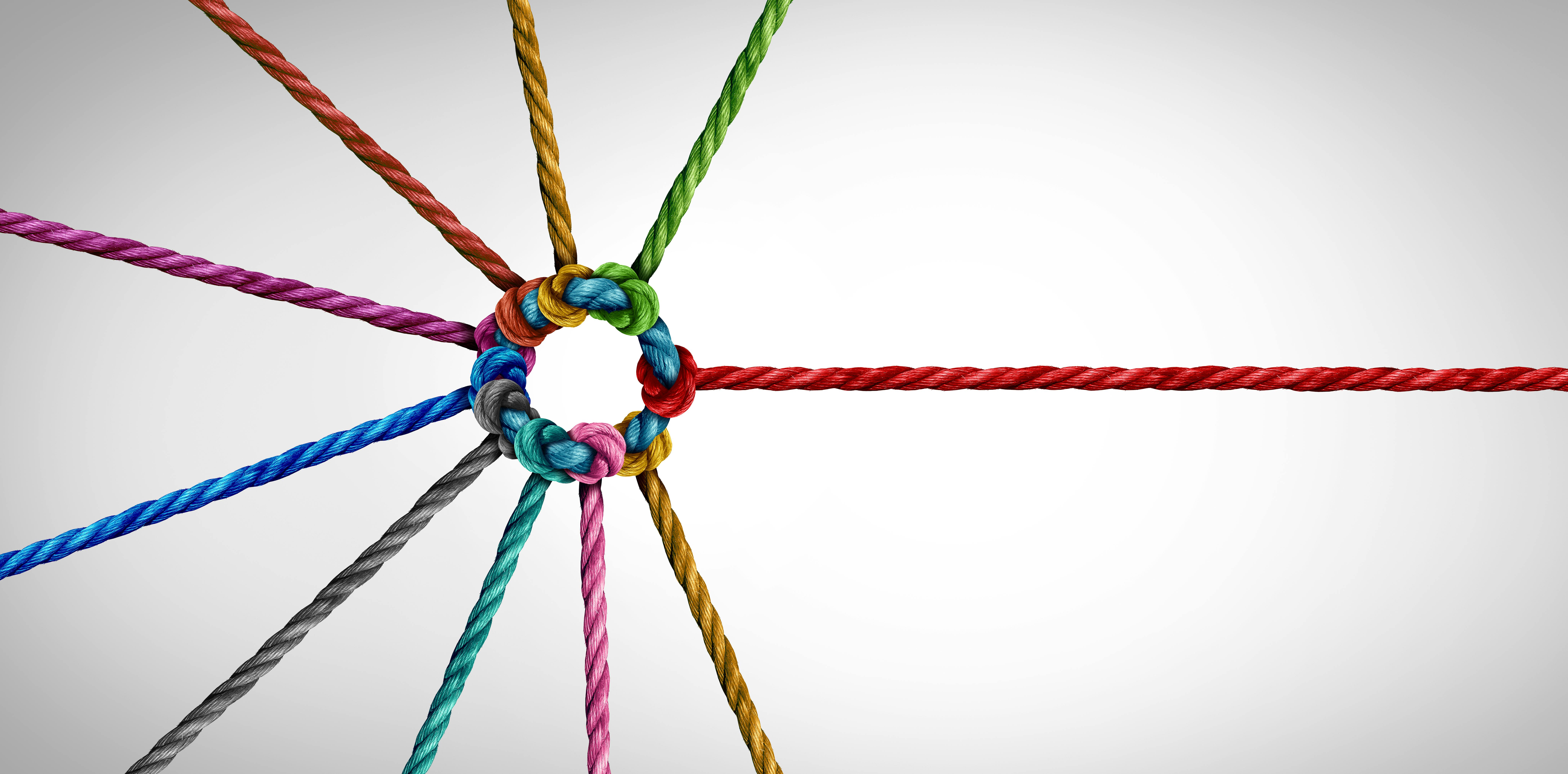 Colorful intertwined ropes form a circle.