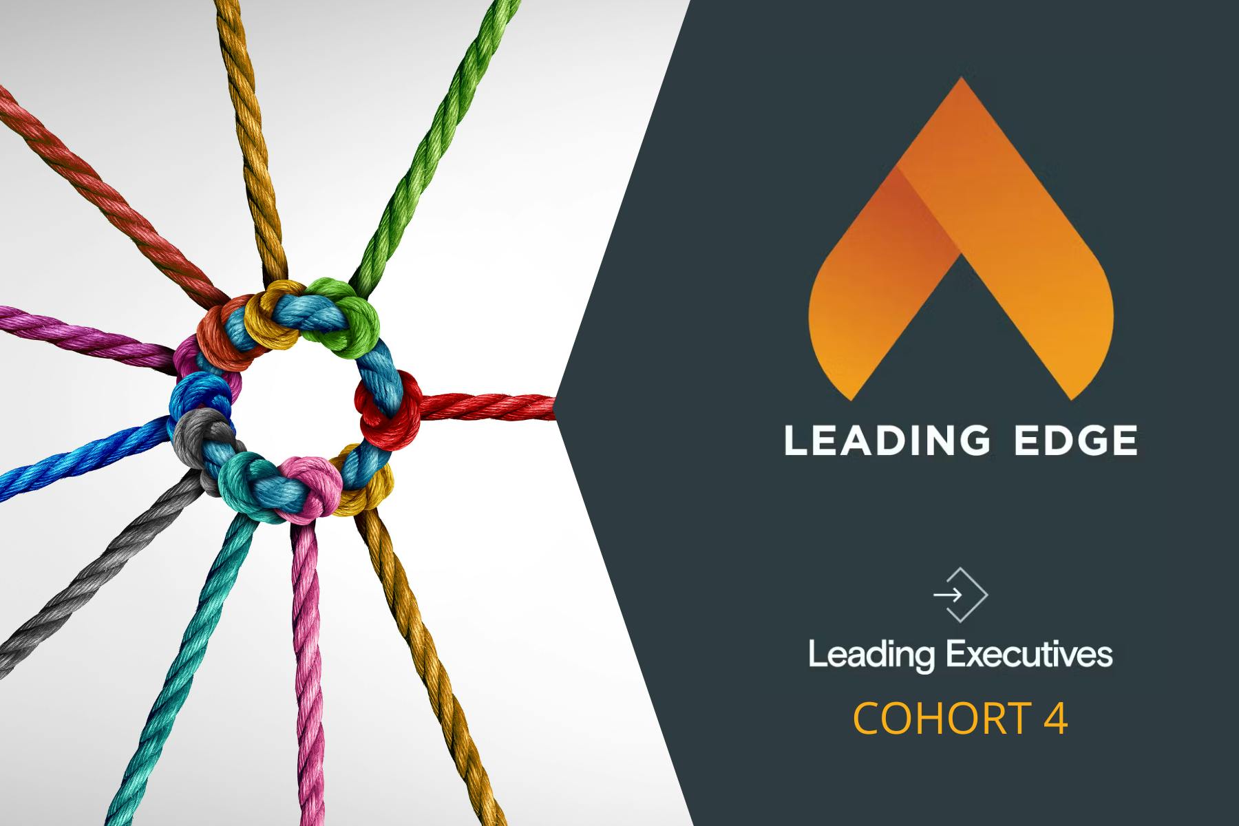 Colorful ropes image overlaid with text (Leading Executives Program Cohort 4)