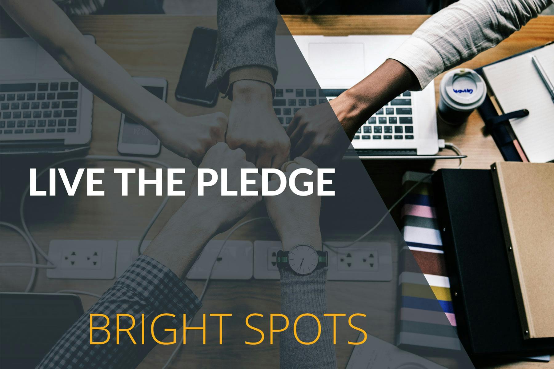 Live the Pledge: Bright Spots
