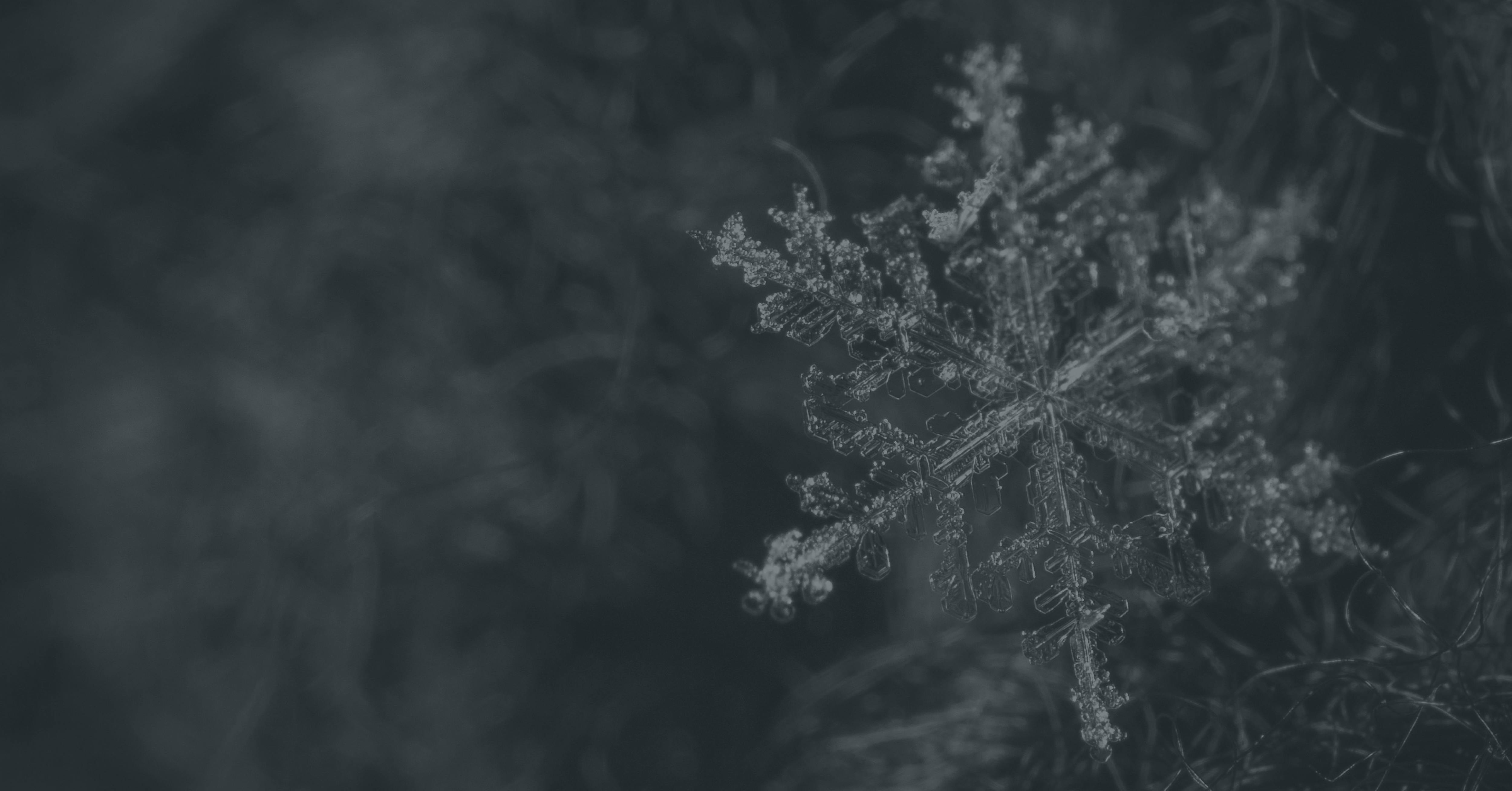 A close-up of a detailed snowflake on a textured background