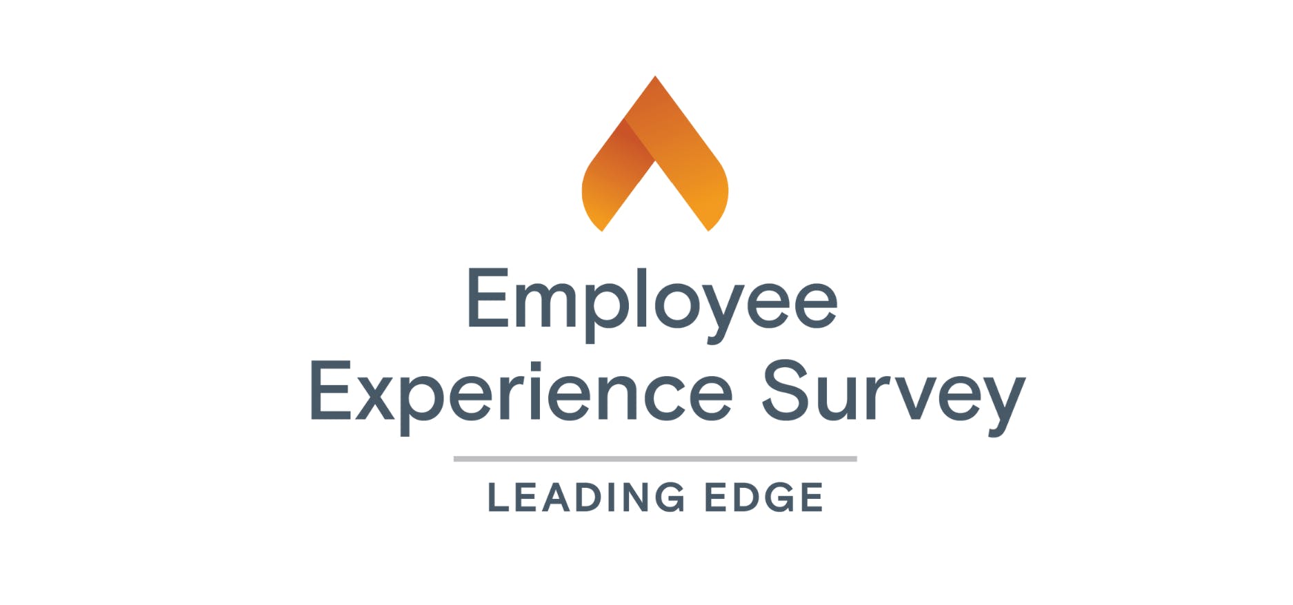 Employee Experience Survey by Leading Edge