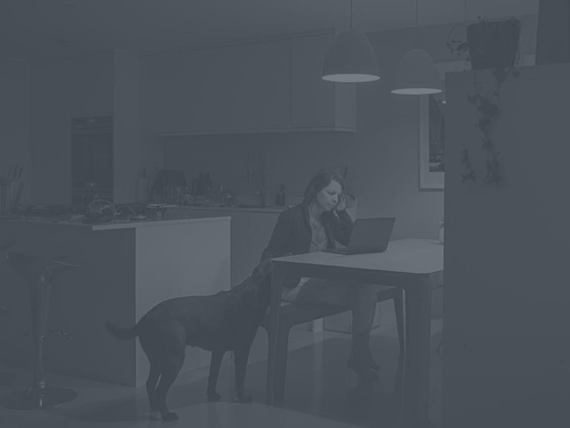 A woman works on her laptop at night with a dog by her side.