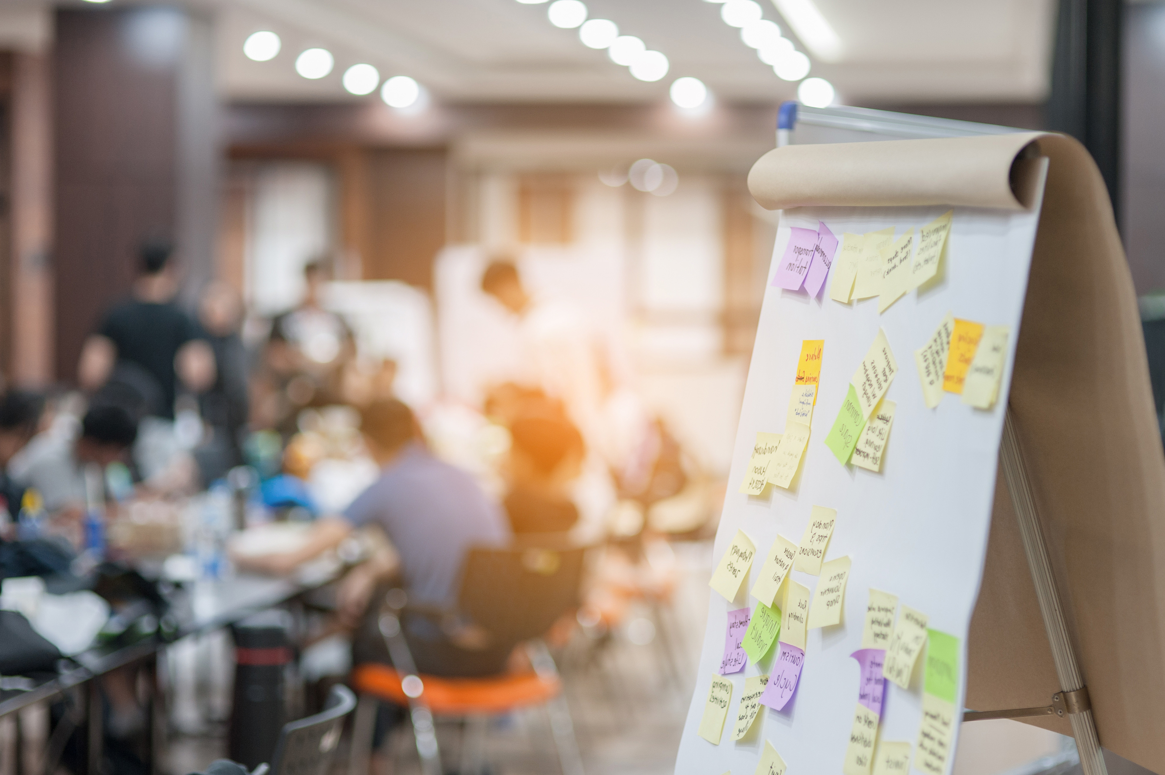 Sticky notes are seen on an easel pad during a workshop