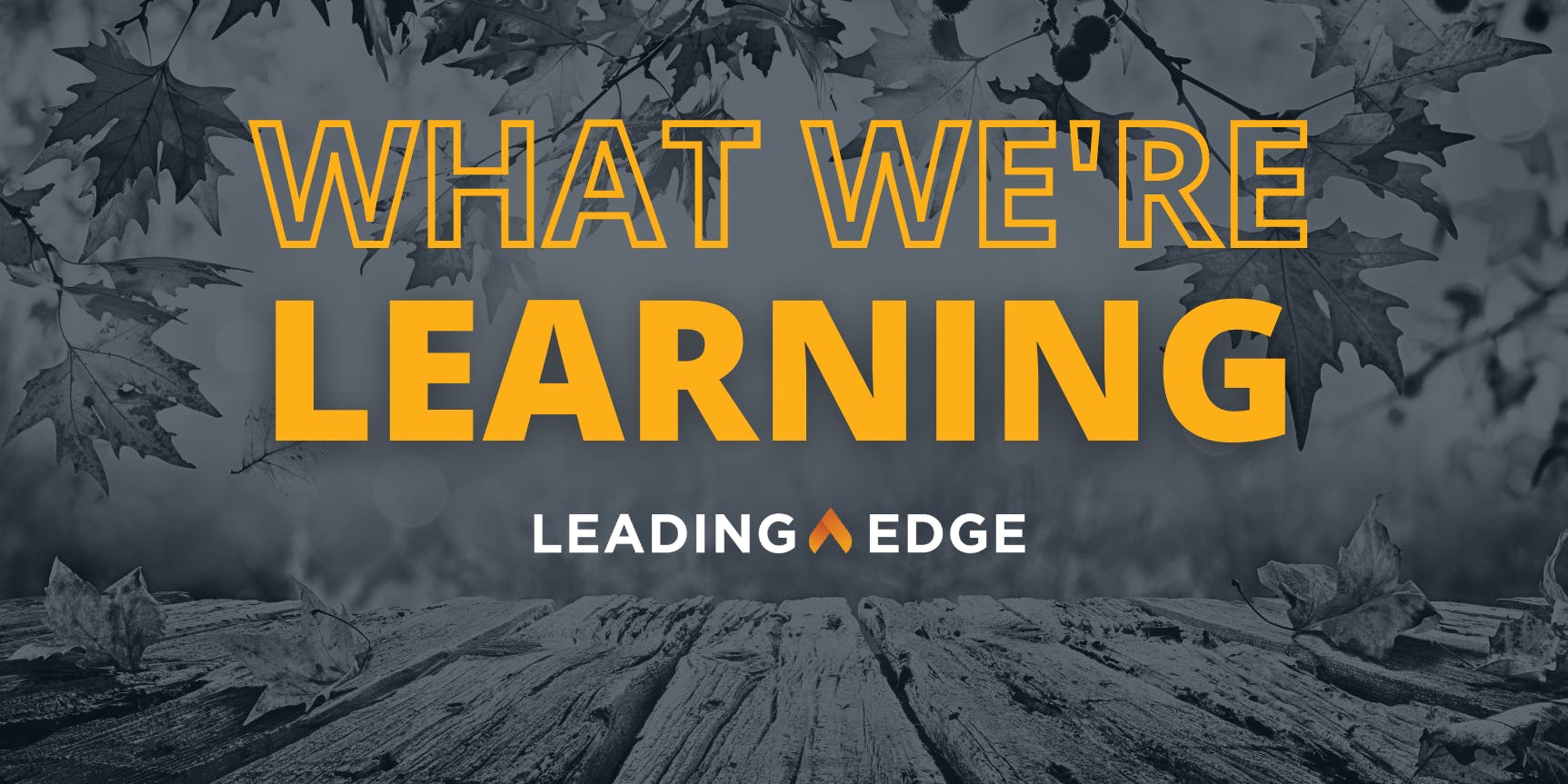 Text: What We're Learning by Leading Edge / Image: Fall leaves