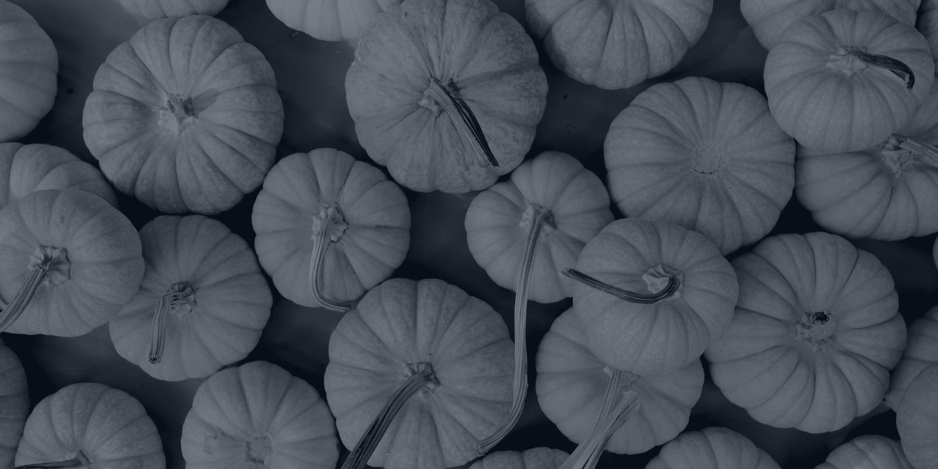 Black and white image of small pumpkins.