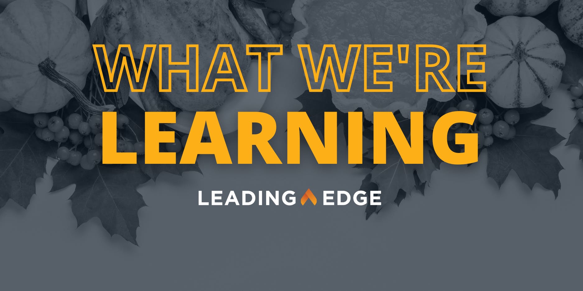 Pumpkins, turkey, and pie are shown amongst leaves with text, "What We're Learning, Leading Edge."