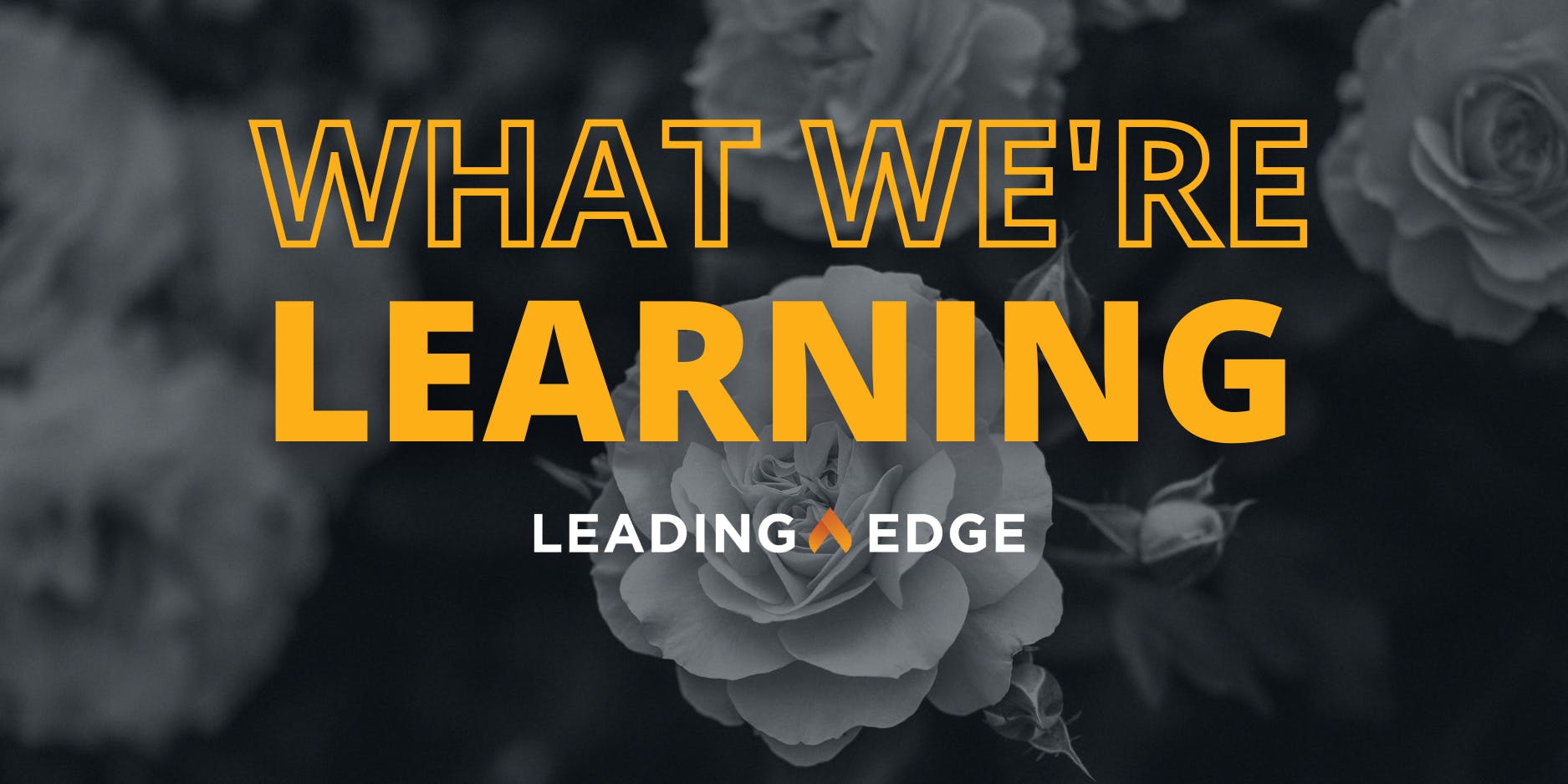 Background image of a rose bush, text reads: What We're Learning, Leading Edge.