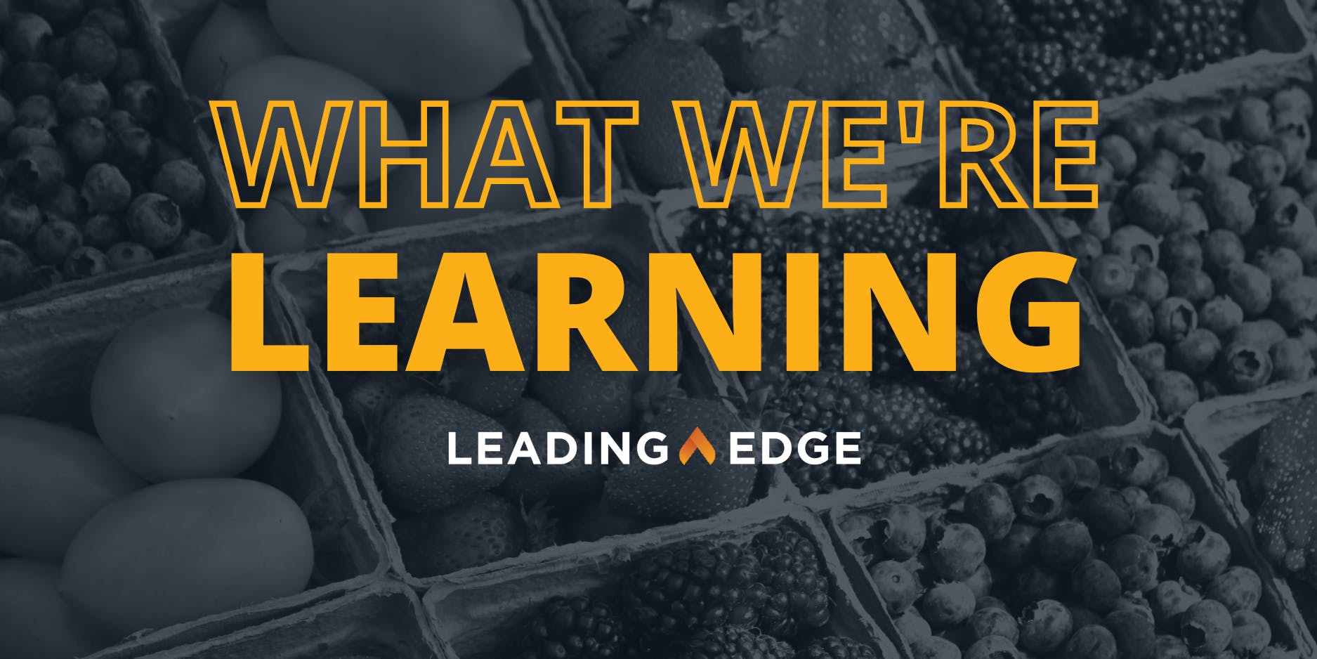 Image with bold text reading “What We’re Learning” above the “Leading Edge” logo, over a background of assorted berries and produce.