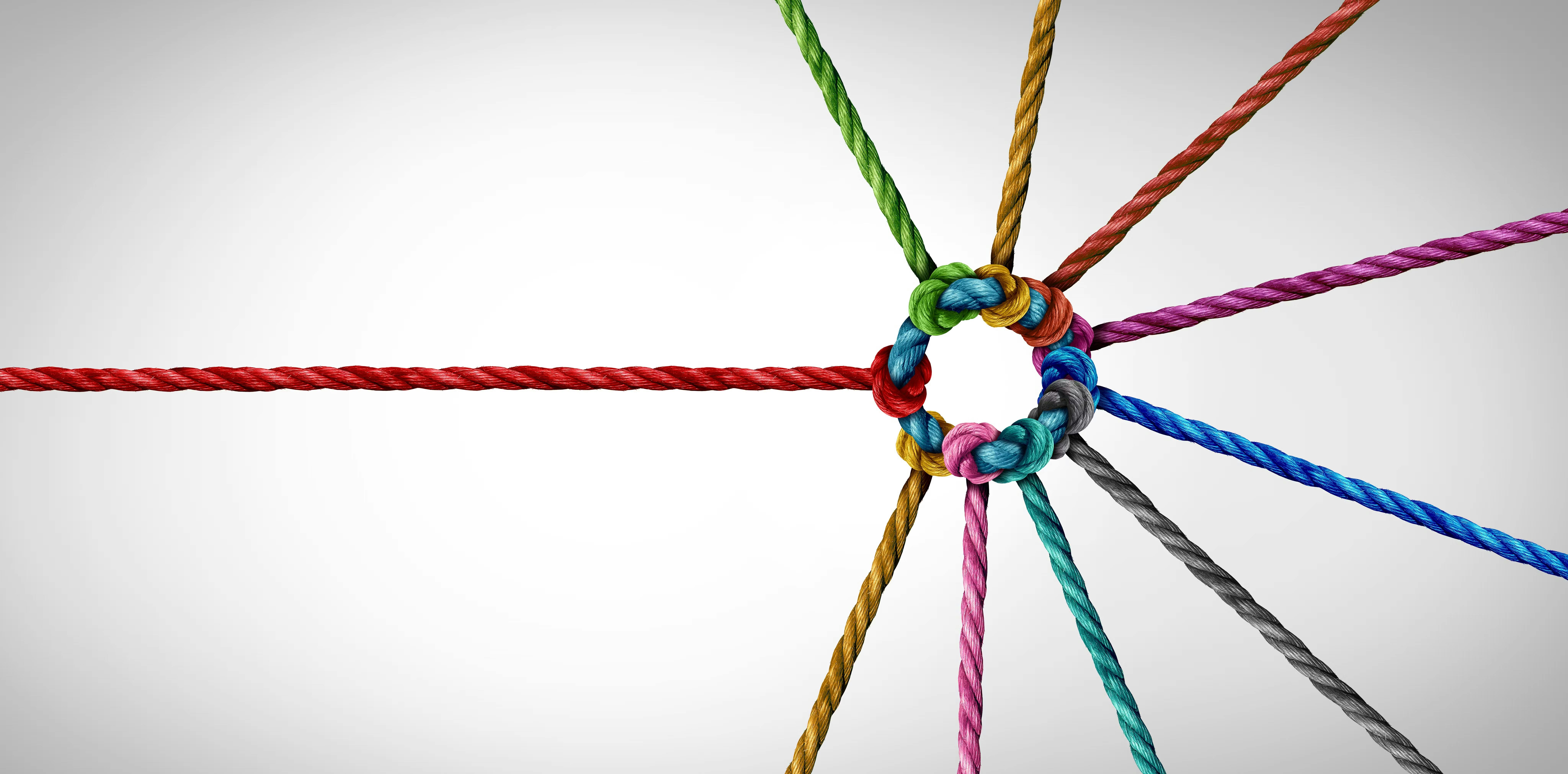 Colorful ropes intertwine.