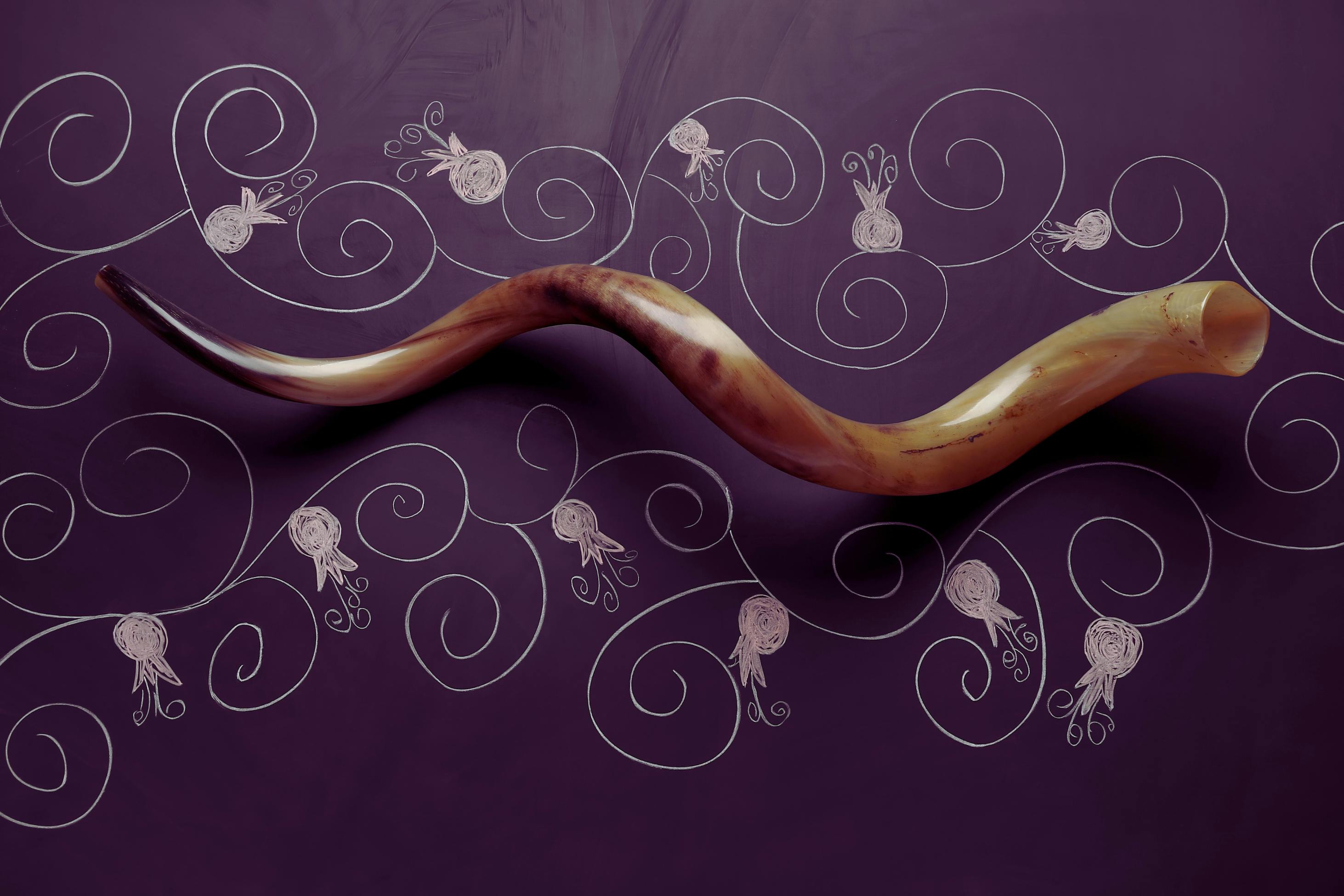 Blackboard background decorated with chalk-style swirls and pomegranates. At the center is a large shofar (ram’s horn).