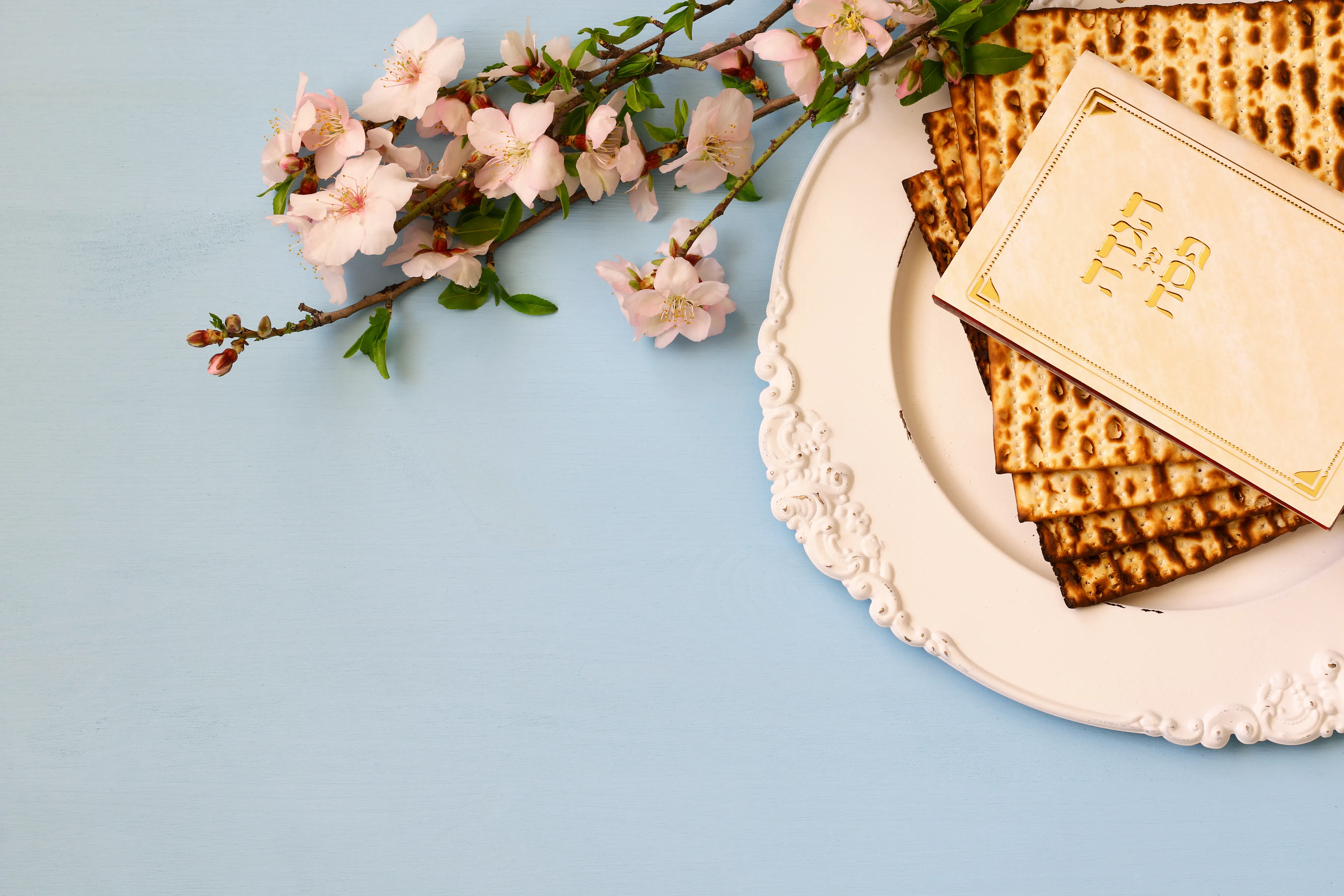 A serene Passover still life of matzah and a Haggadah on an ornate white plate beside a flowering spring branch against a pale blue background.