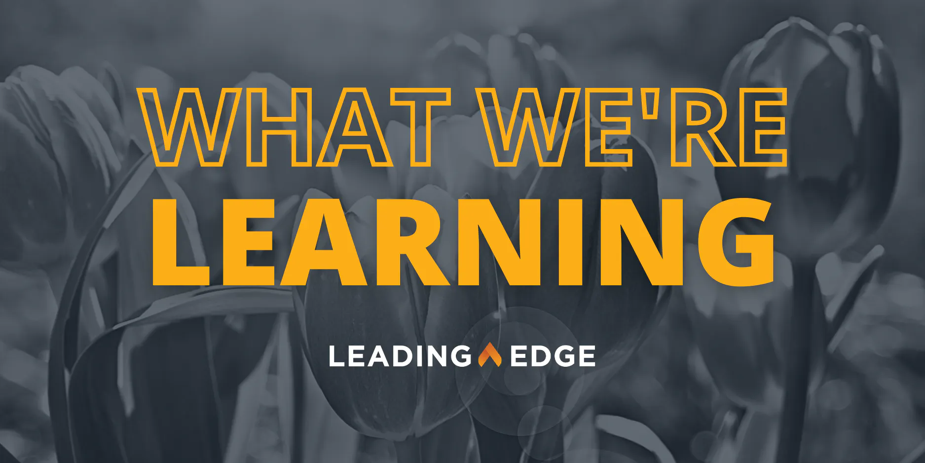 Text reads, "What We're Learning by Leading Edge," overlayed against image of tulips.