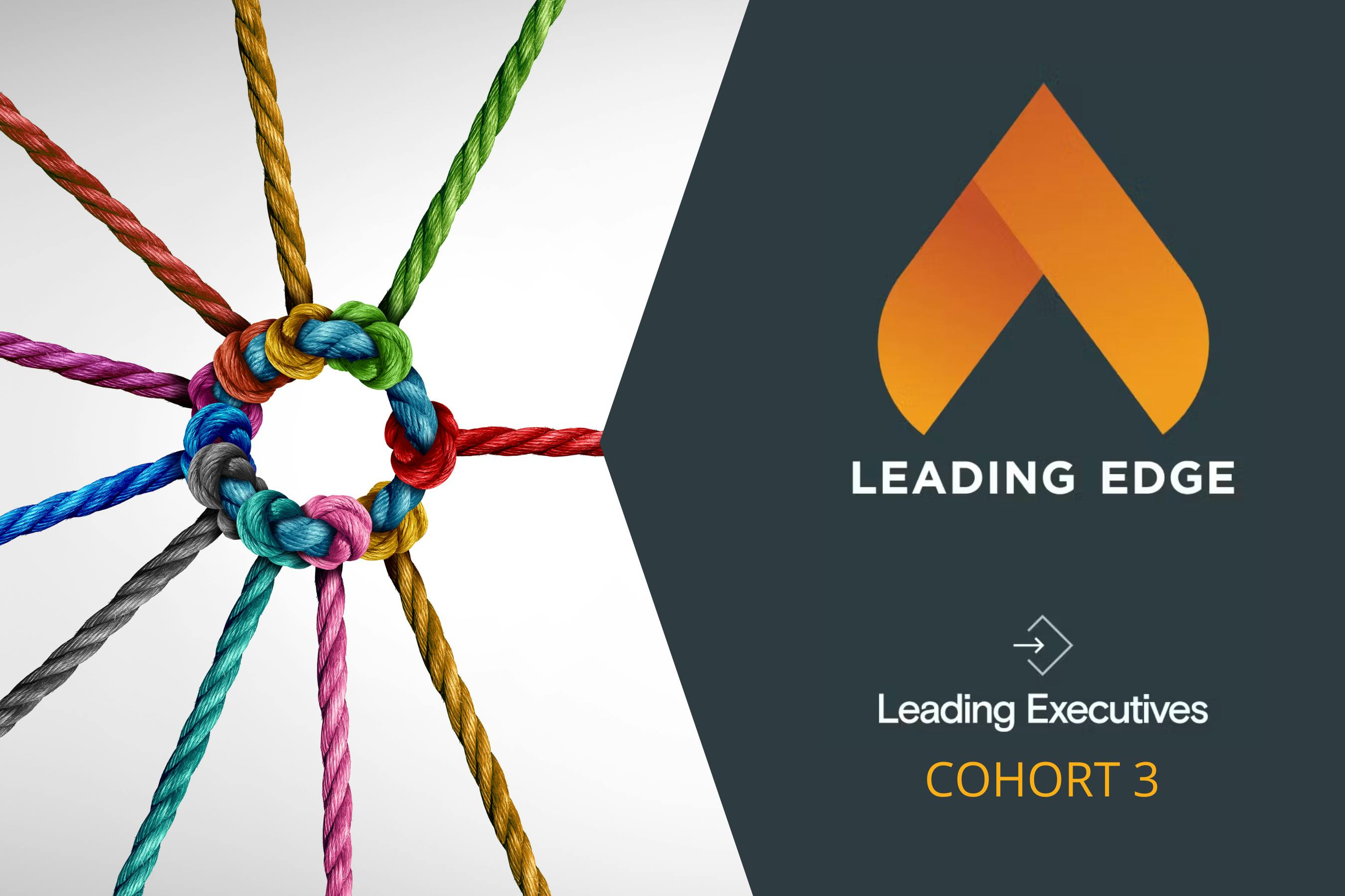 Colorful ropes image overlaid with text (Leading Executives Program Cohort 3)