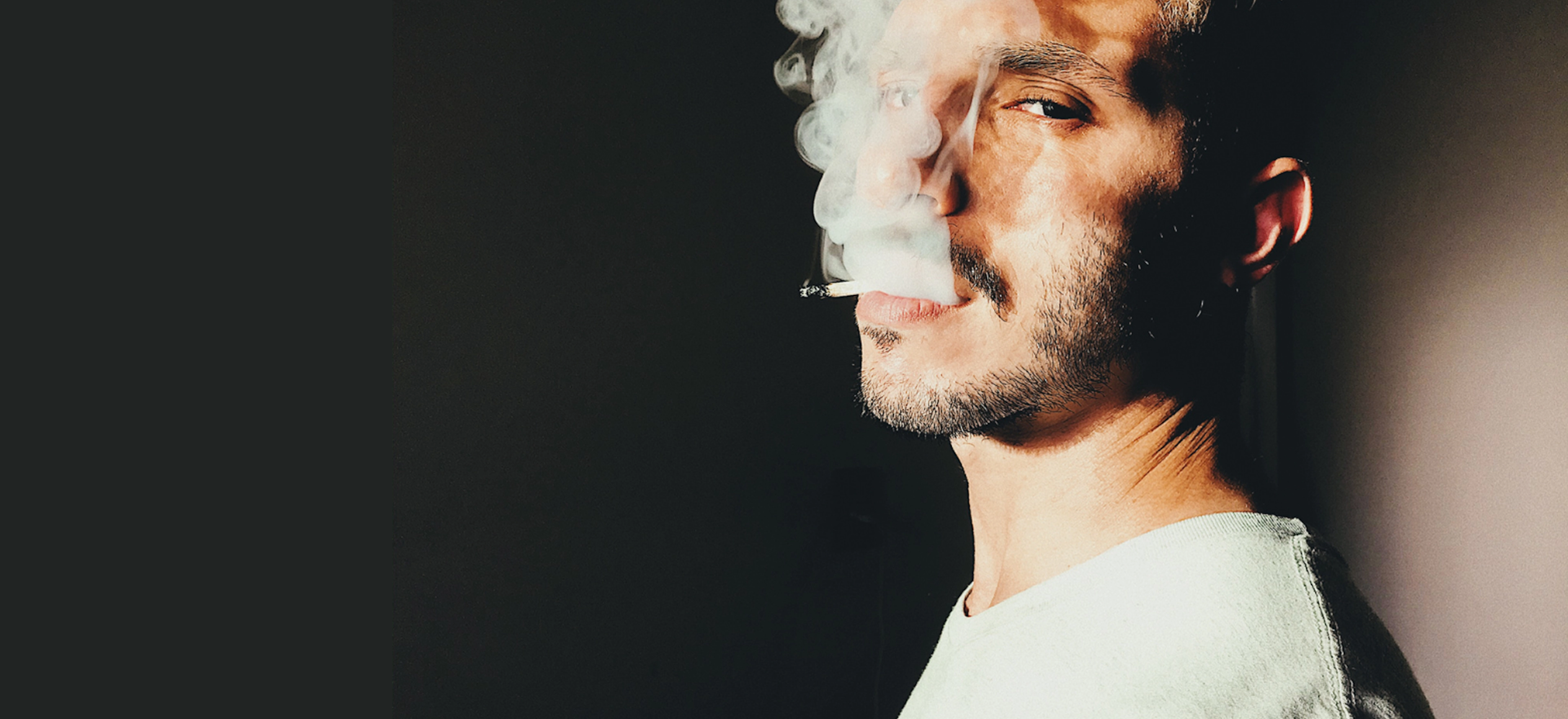 Leaf and Fog Dispensary | Ballston Spa | Saratoga County