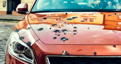 How To Get Bird Poop Off Your Car In 4 Easy Steps