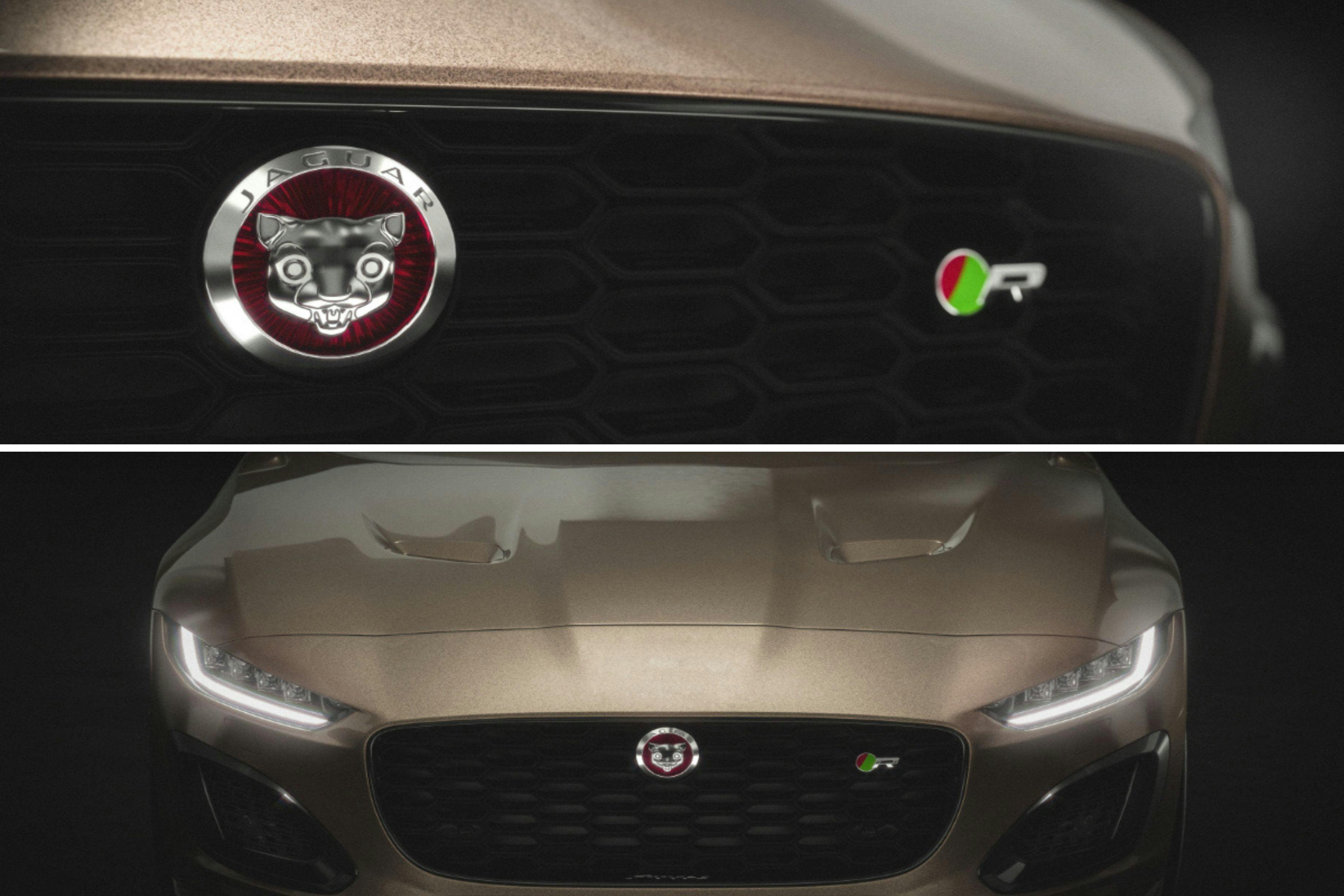 baby jaguar logos