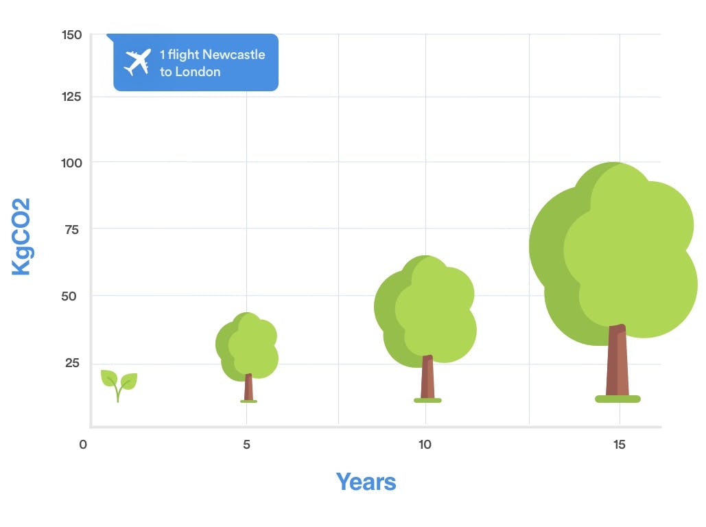 Carbon offsetting flights