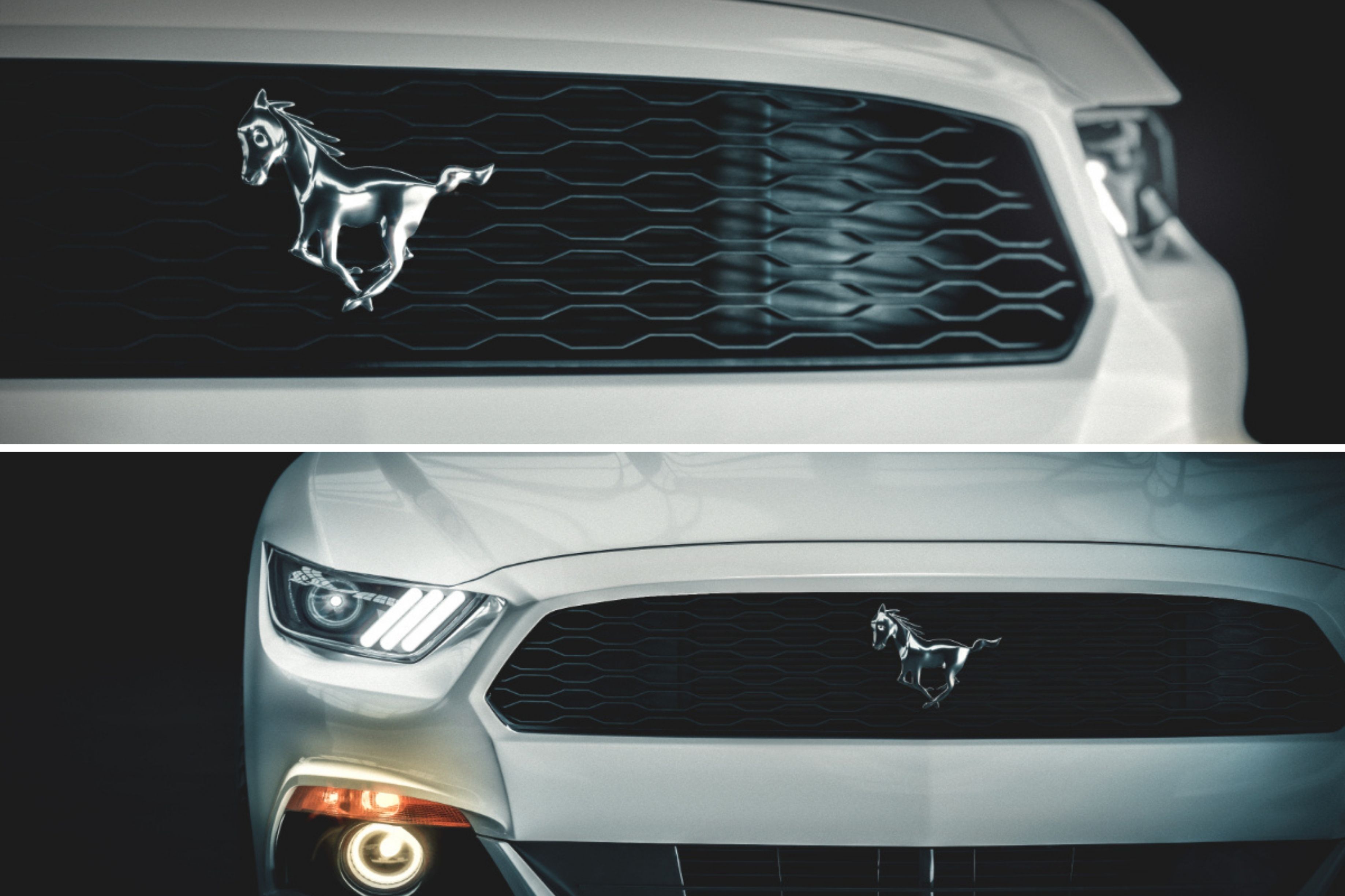 ec7fb7f5-3be1-4bcb-9c9b-13c057ca6012_Mustang+Collage.jpg