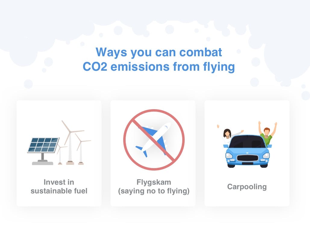 How to combat domestic flight CO2 emissions