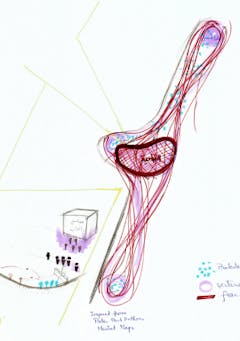 Sectarianism, Revolution and Me