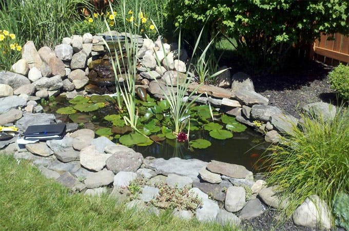 En savoir plus sur les avantages et les inconvénients d'un bassin préformé  pour votre jardin.