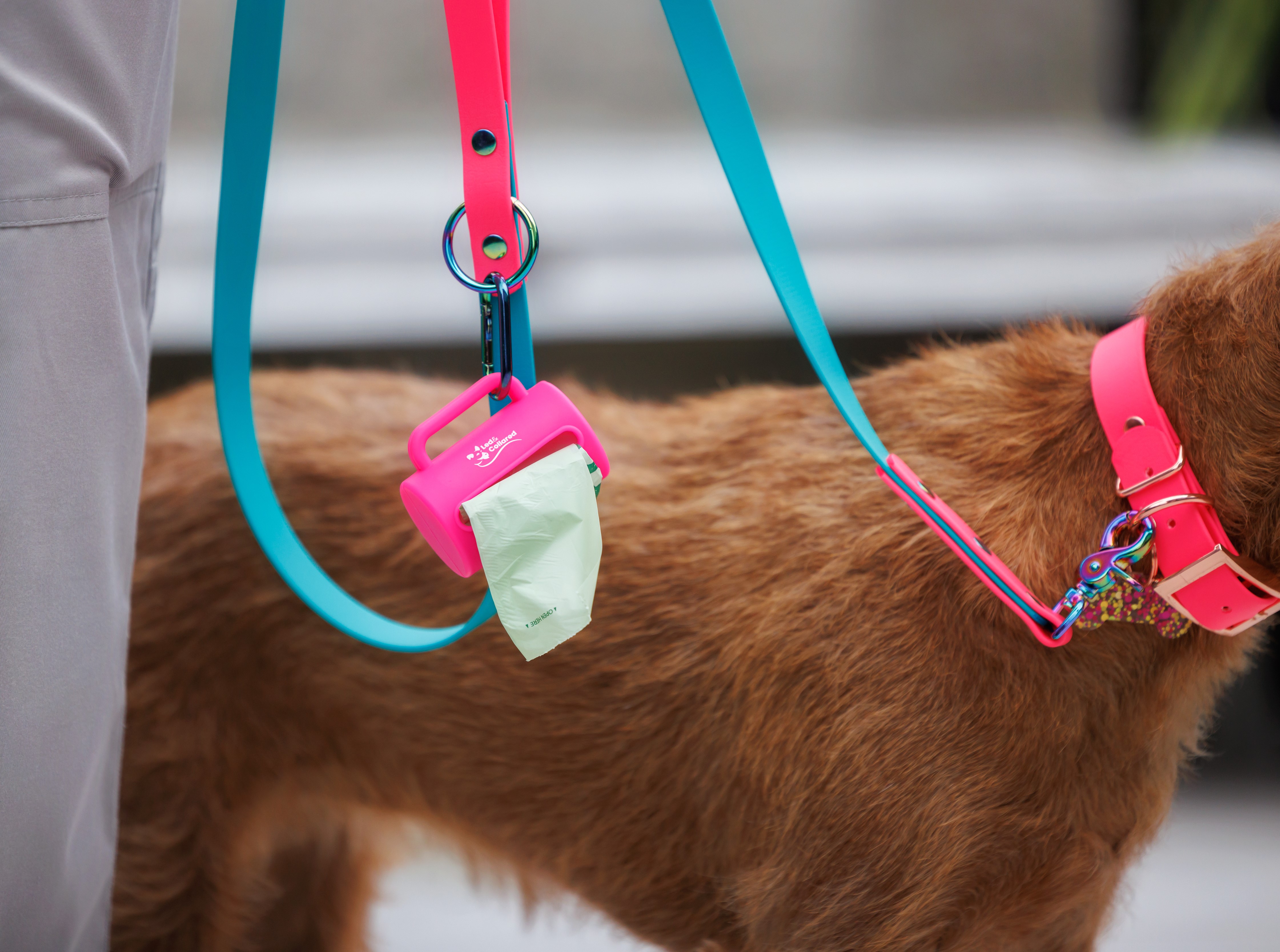 Dog Poop Bag Dispenser - Pink