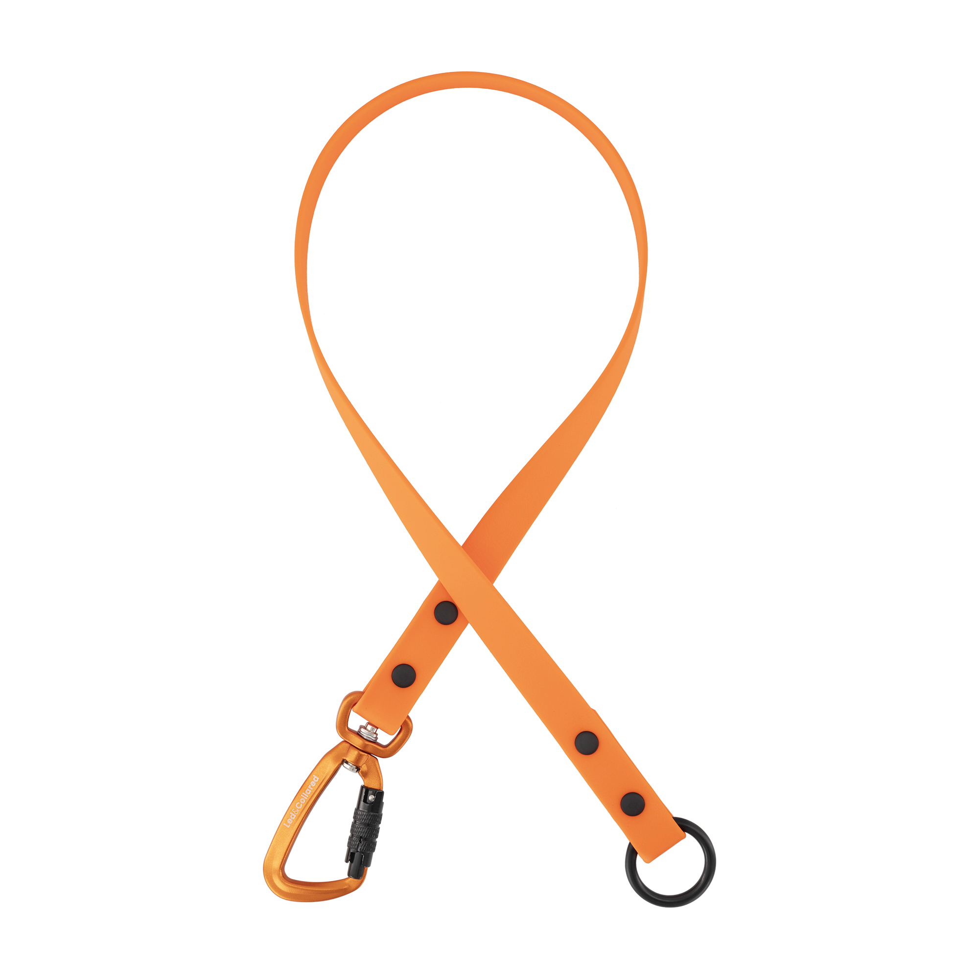 Dog Lead Addition - Light Orange