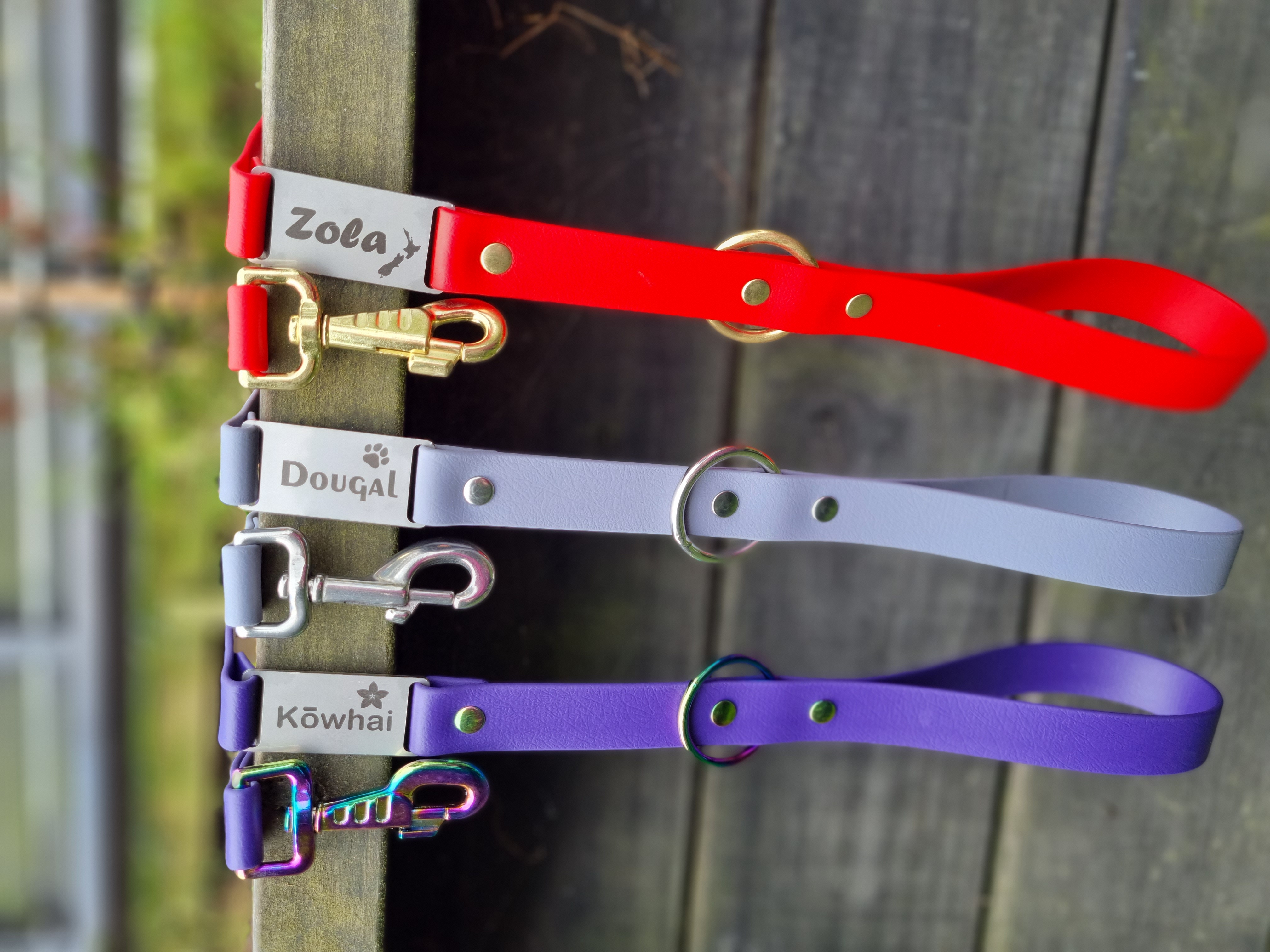 Labelled Dog Leads