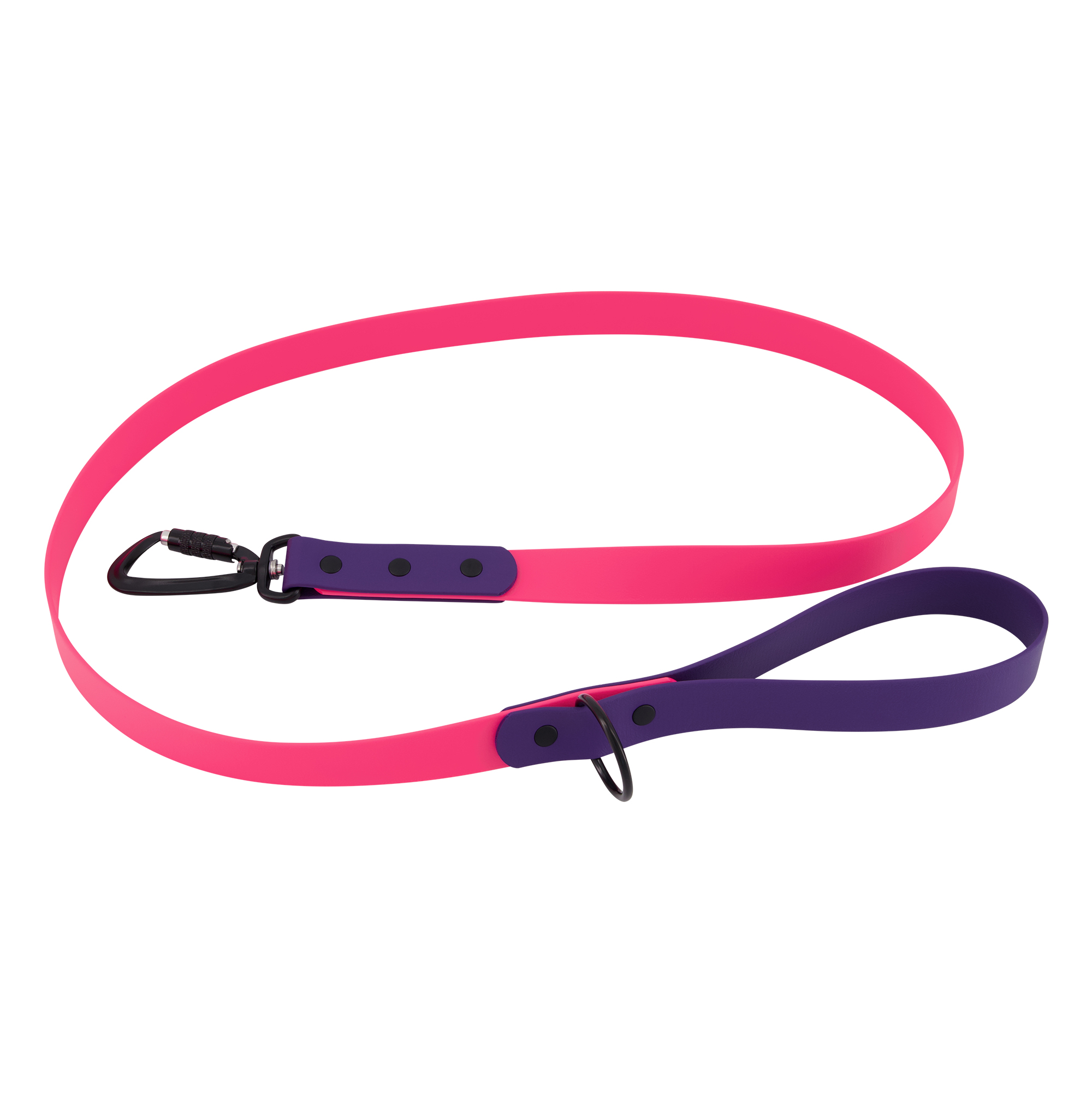 Two-Tone Carabiner Dog Lead