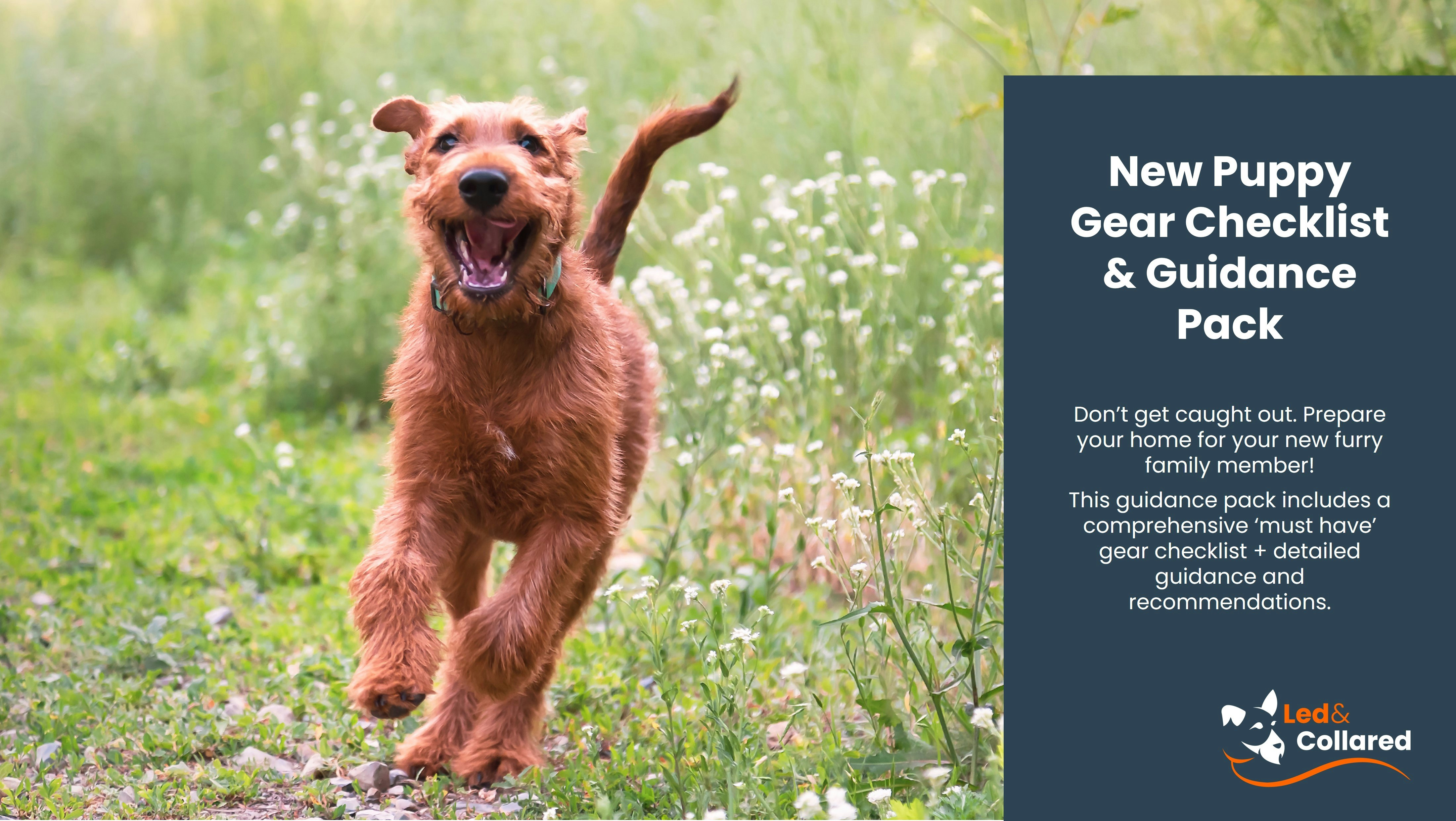 New Puppy Gear Checklist & Guidance Pack