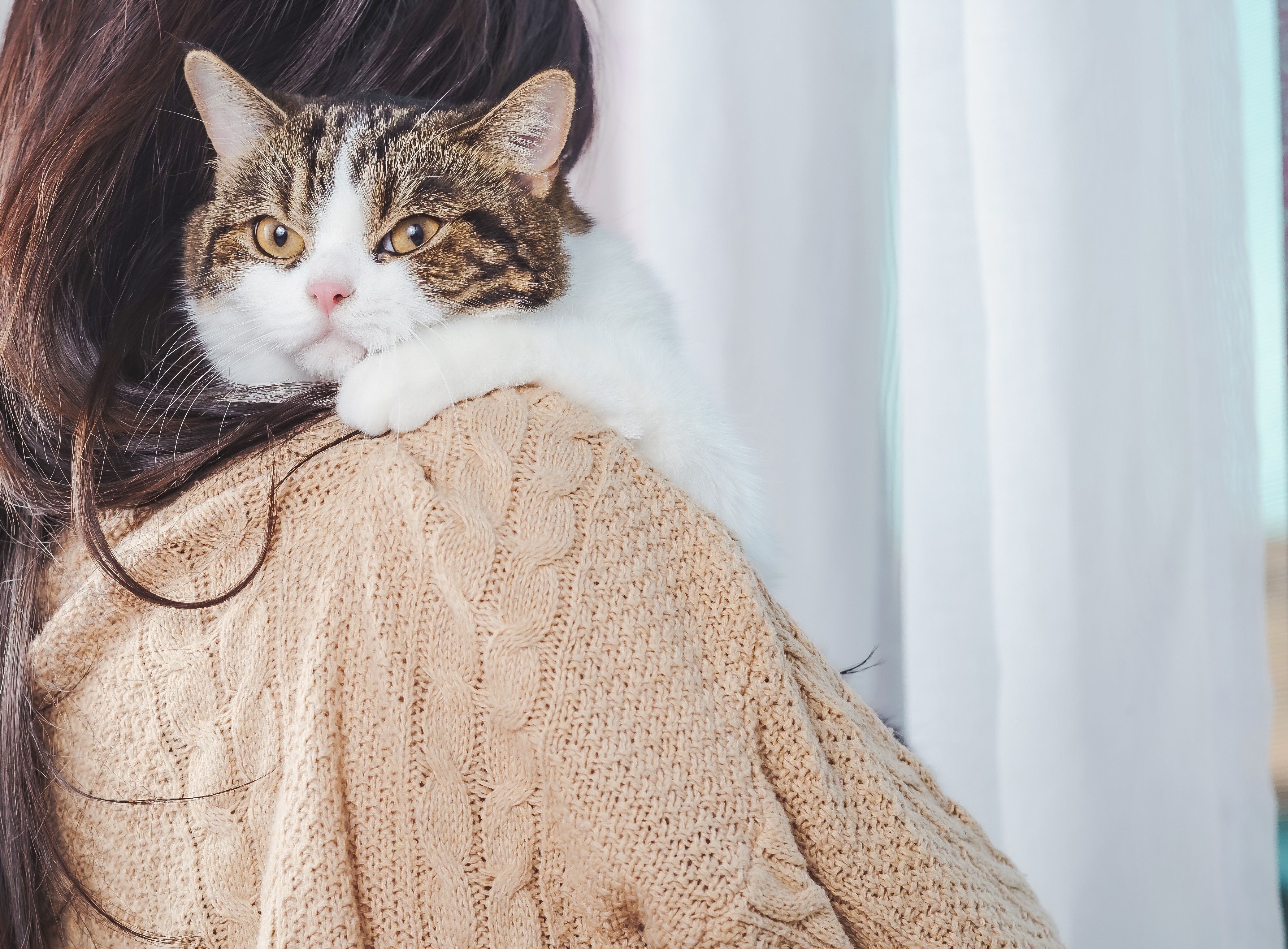 Cat Measurement Guide - Cat on Shoulder