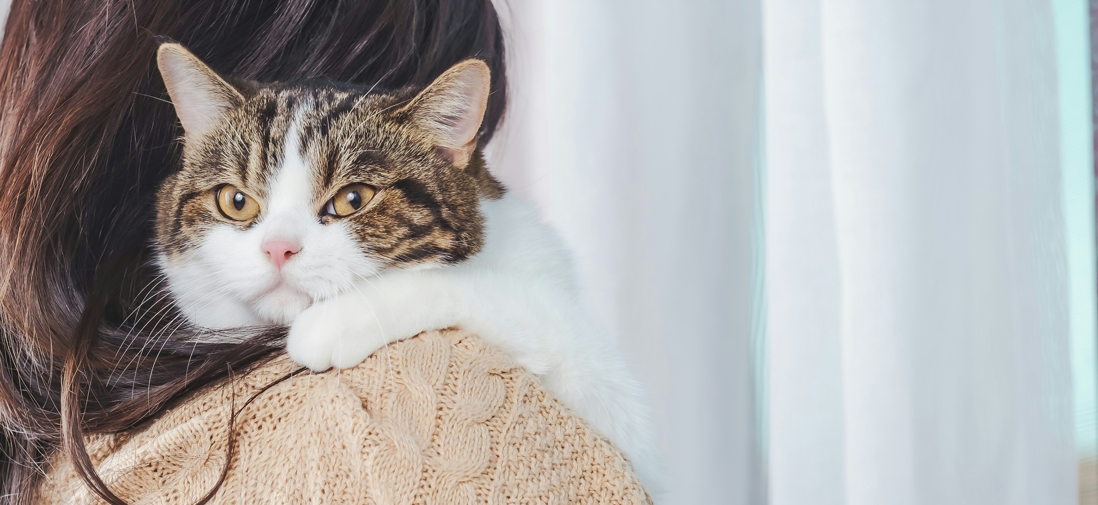 Cat Measurement Guide - Cat on Shoulder