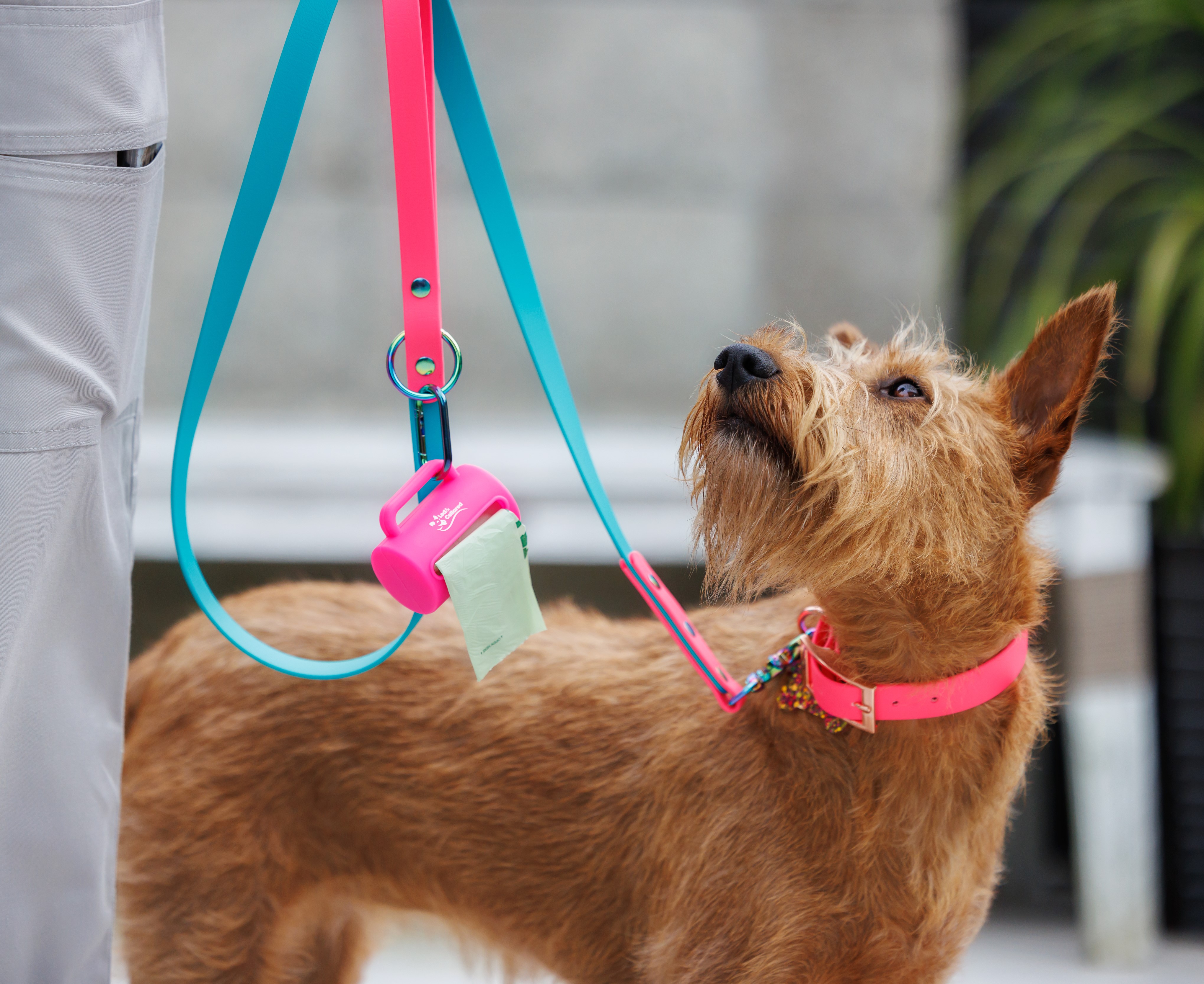 Dog Poop Bag Dispenser - Pink