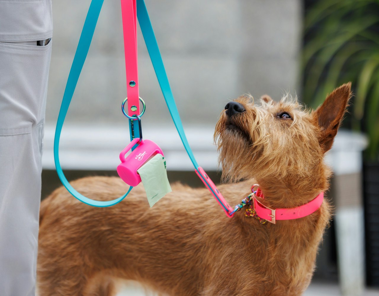 Dog Poop Bag Dispenser - Pink